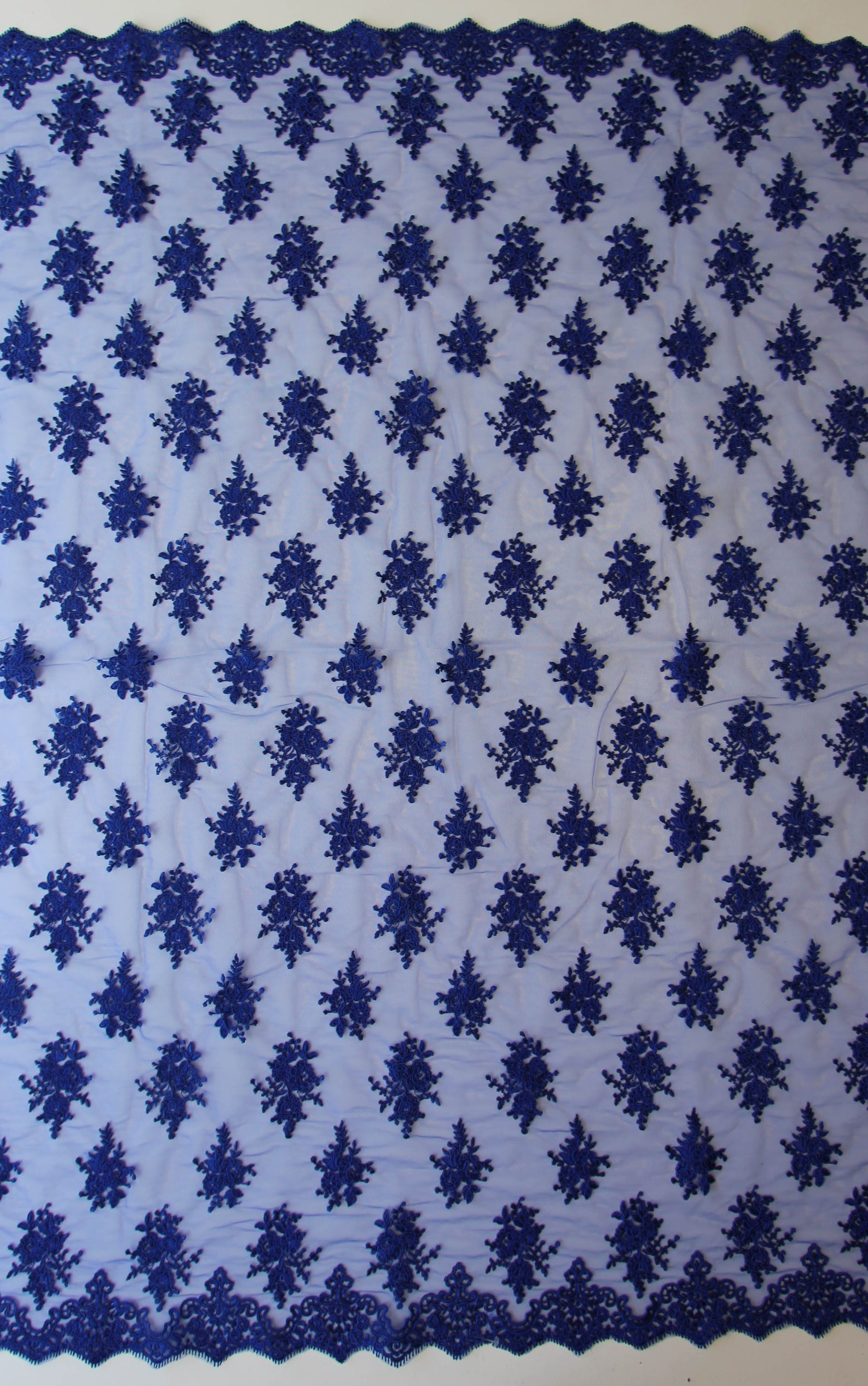 Dentelle Cordonnée Bleu Royal - Janis