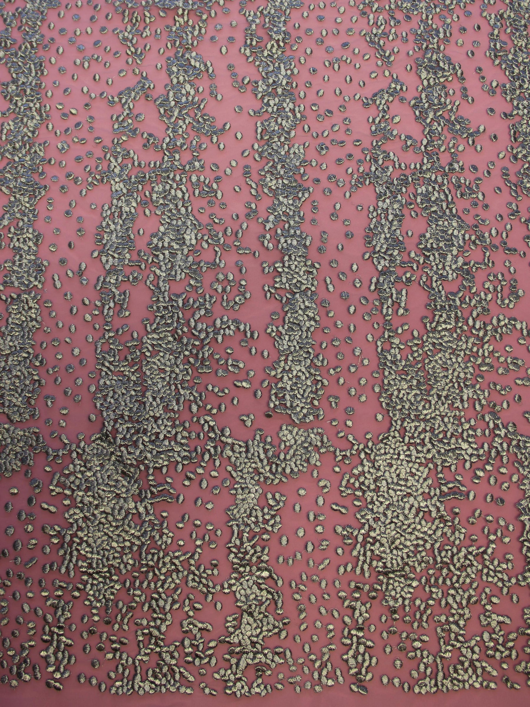 Dentelle brodée d'argent - Carter