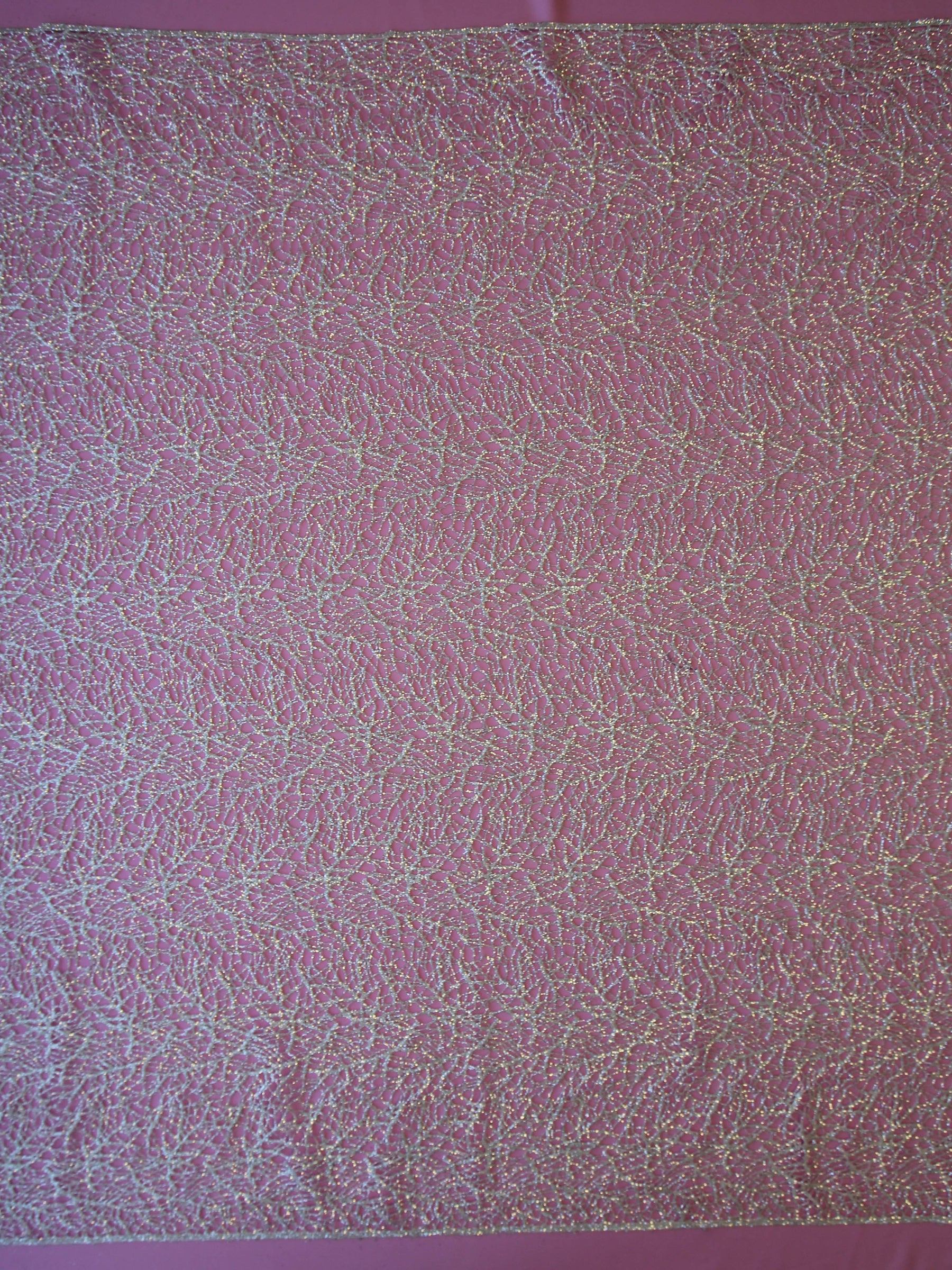 Dentelle pailletée argentée – Rivière