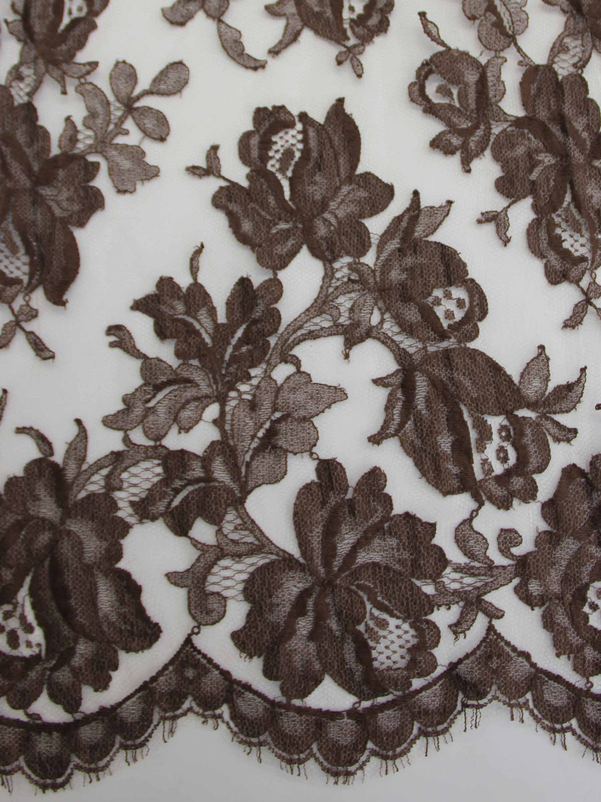 Dentelle brune des bois - Harper.