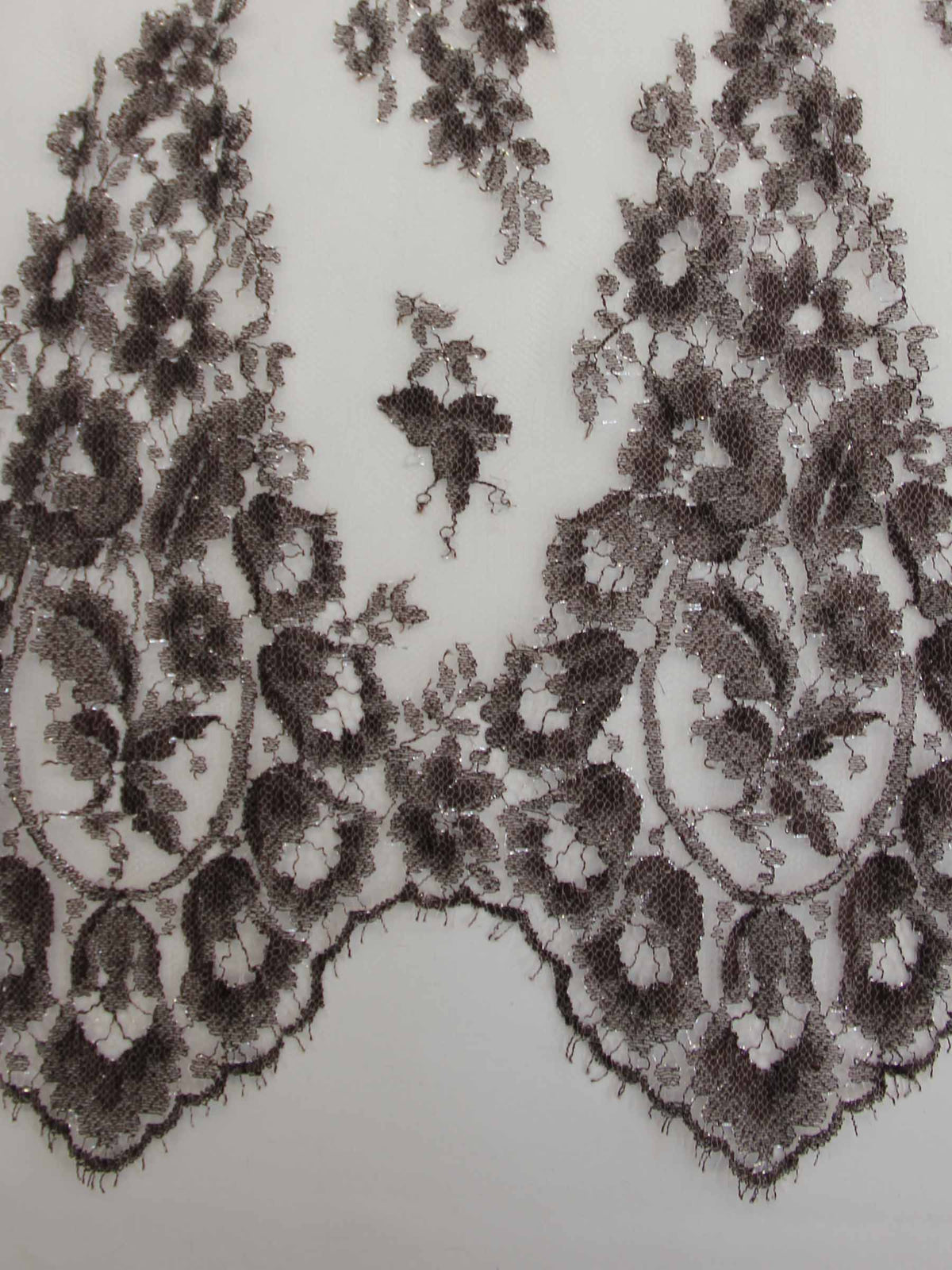 Dentelle brune des bois - Wendy.