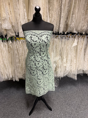 Dentelle de Chantilly Vert Céladon - P244