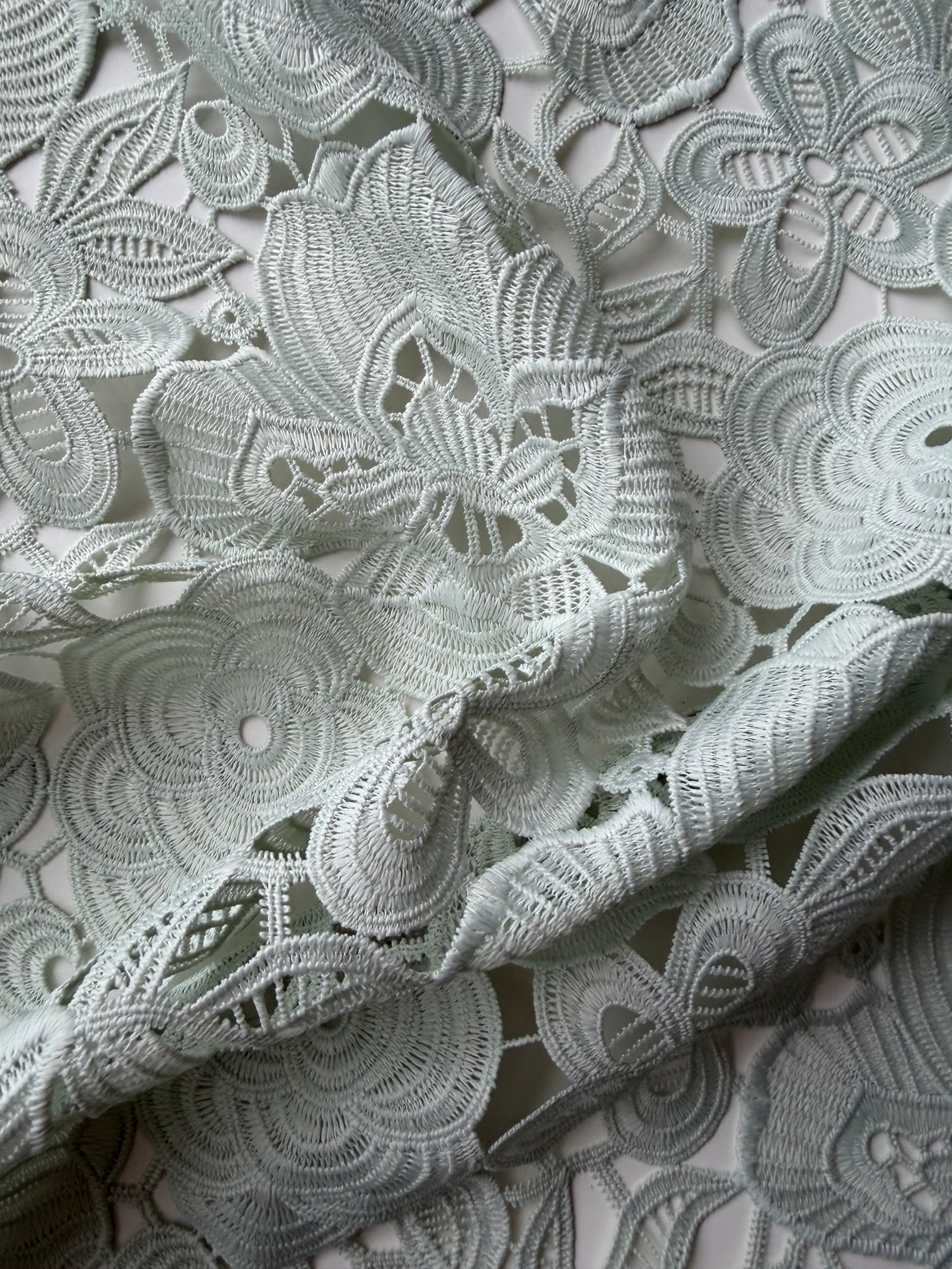 Dentelle Guipure Extensible Willow - LB2015