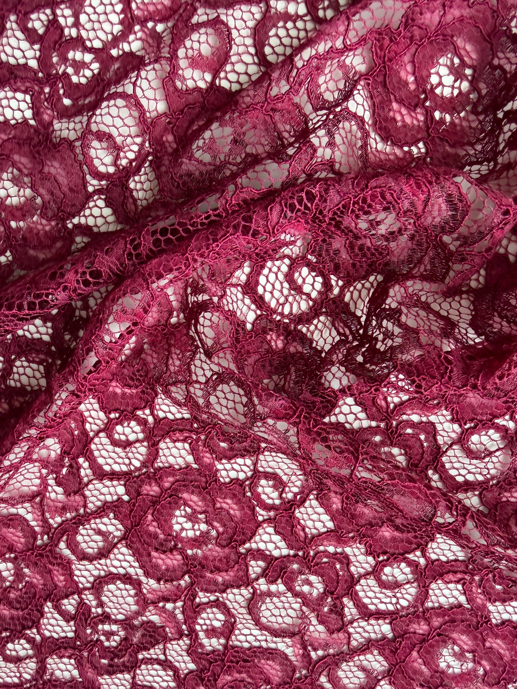 Dentelle extensible cordée lie de vin - P619