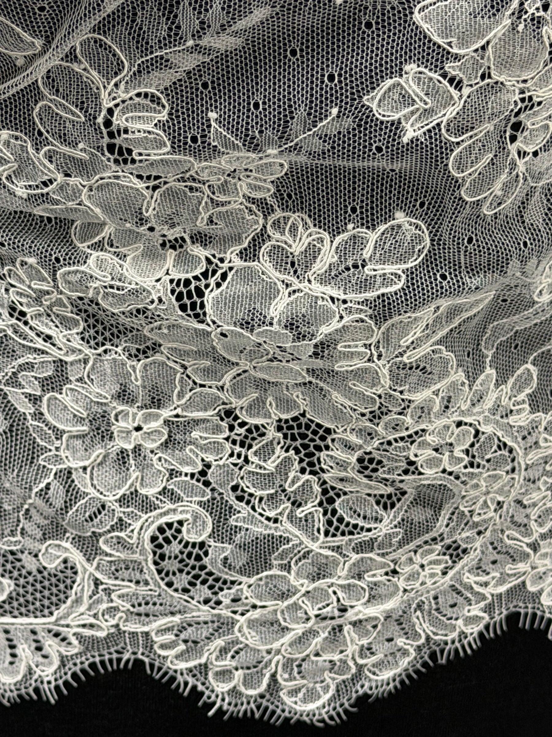 Ivory Corded Lace Trim - Lirin