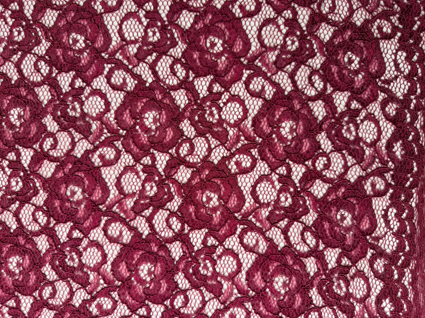 Dentelle extensible cordée lie de vin - P619