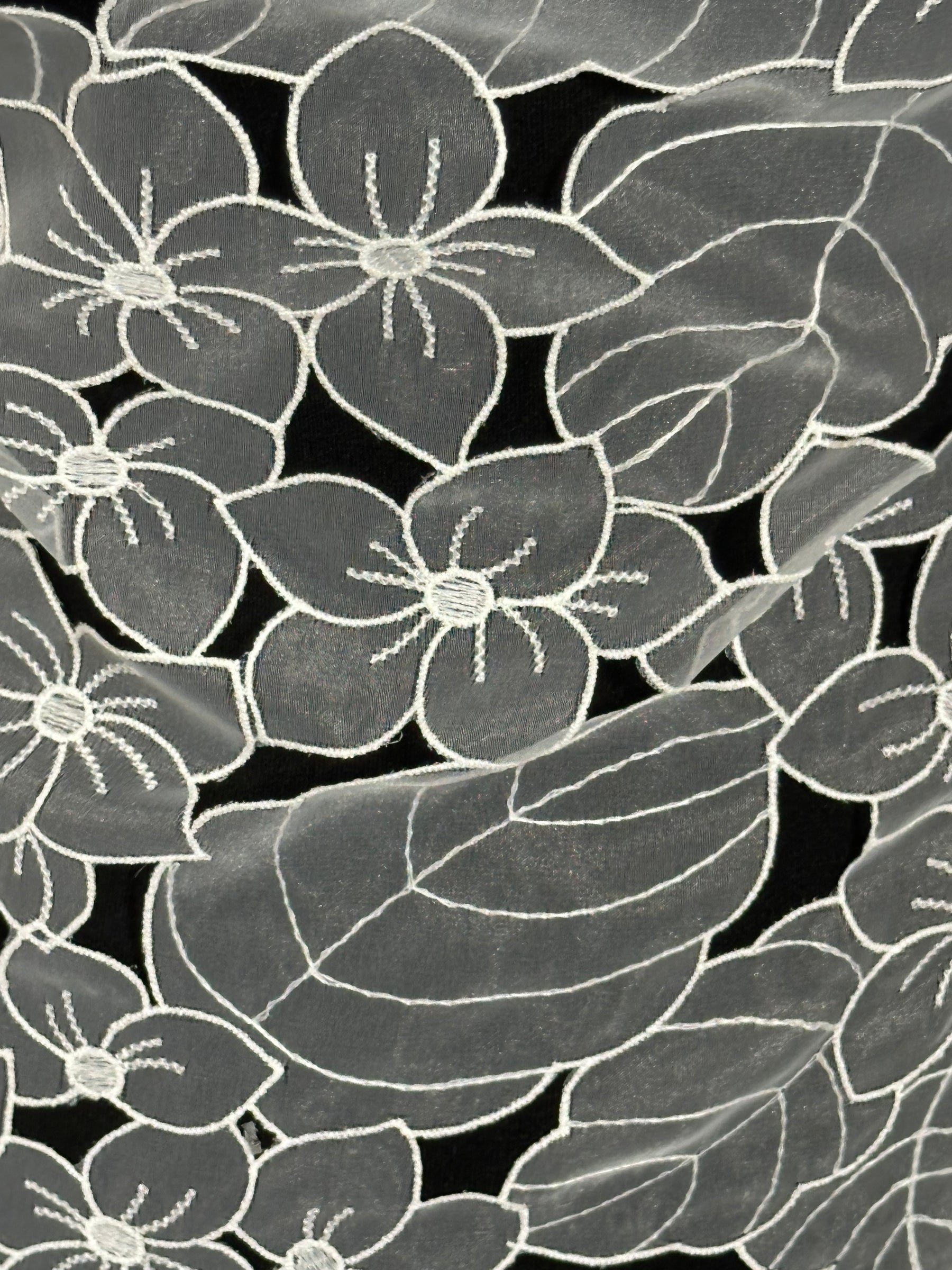 Dentelle organza ivoire - Capacité