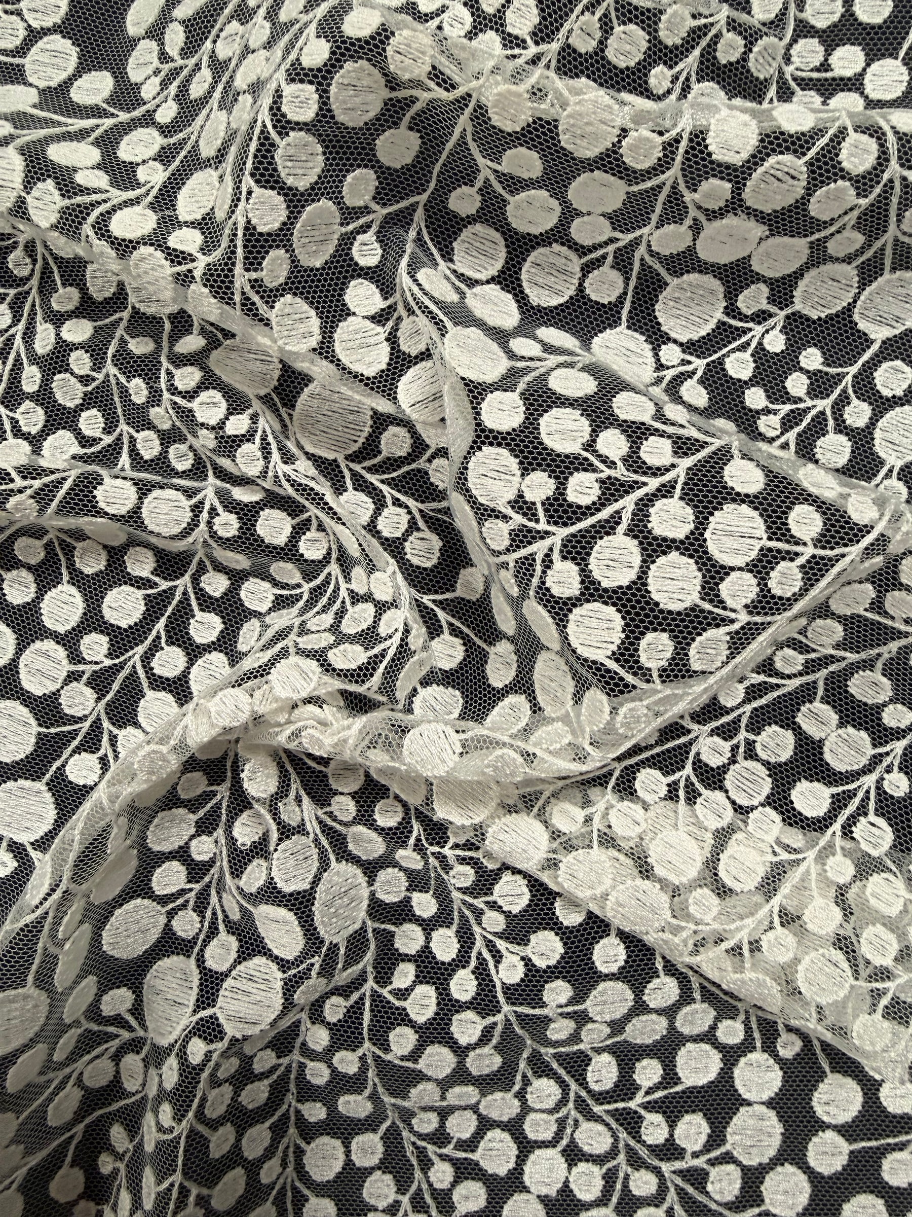 Dentelle brodée contemporaine ivoire - EB5040