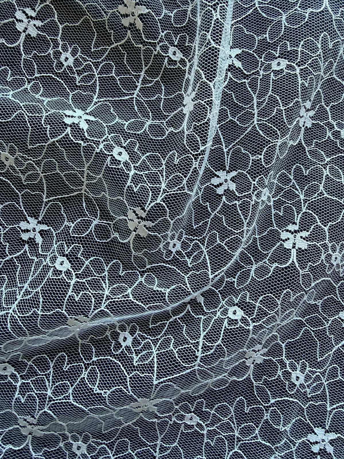 Dentelle brodée ivoire - EB5020