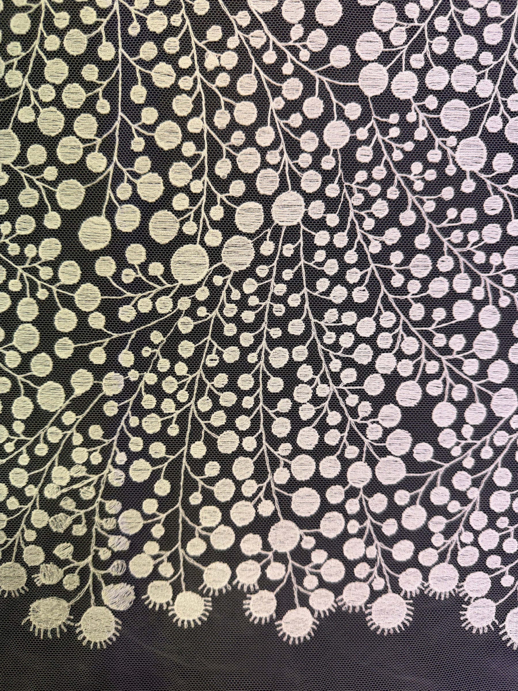 Dentelle brodée contemporaine ivoire - EB5040