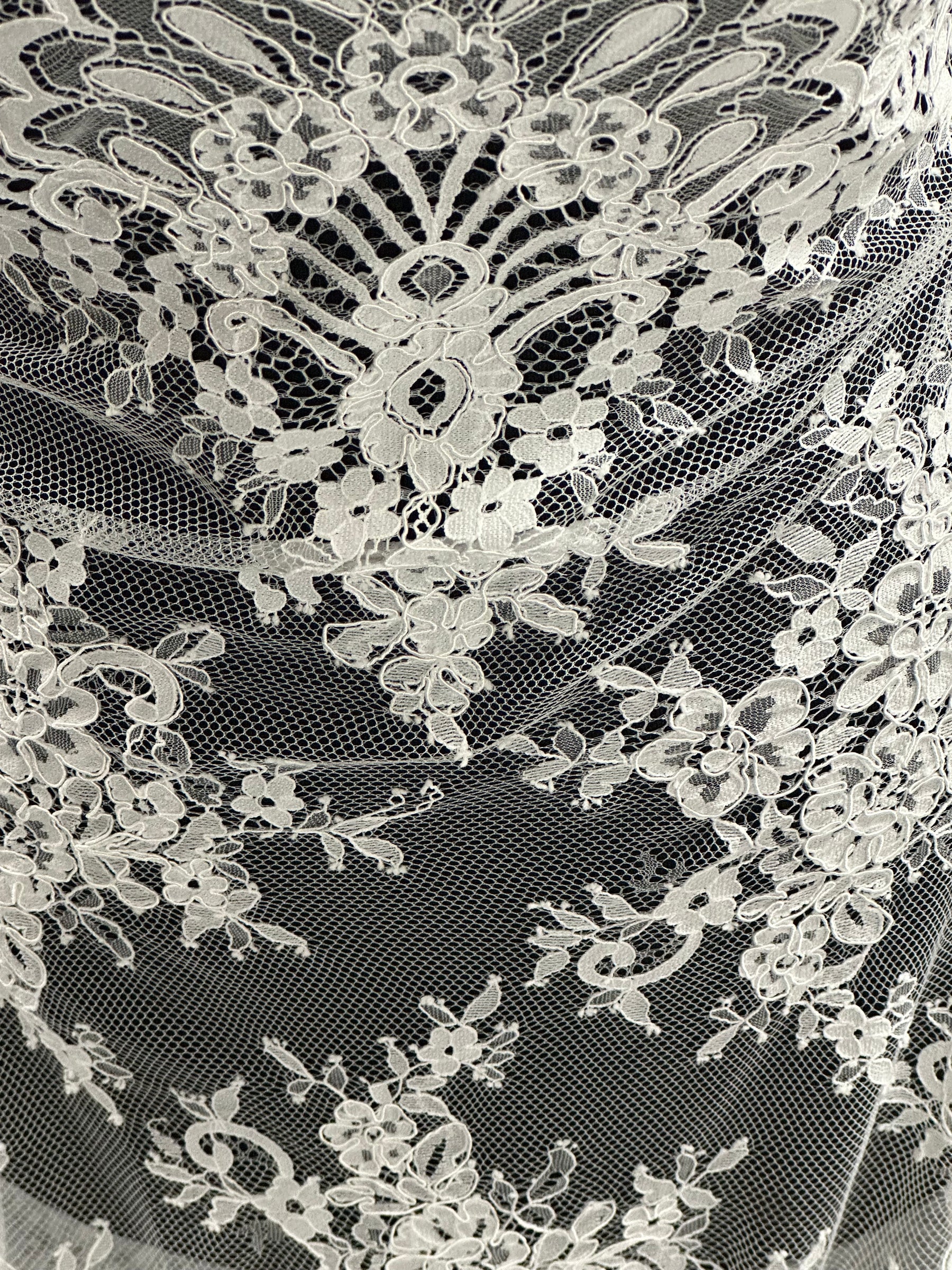 Dentelle florale ivoire à cordon – Faraday