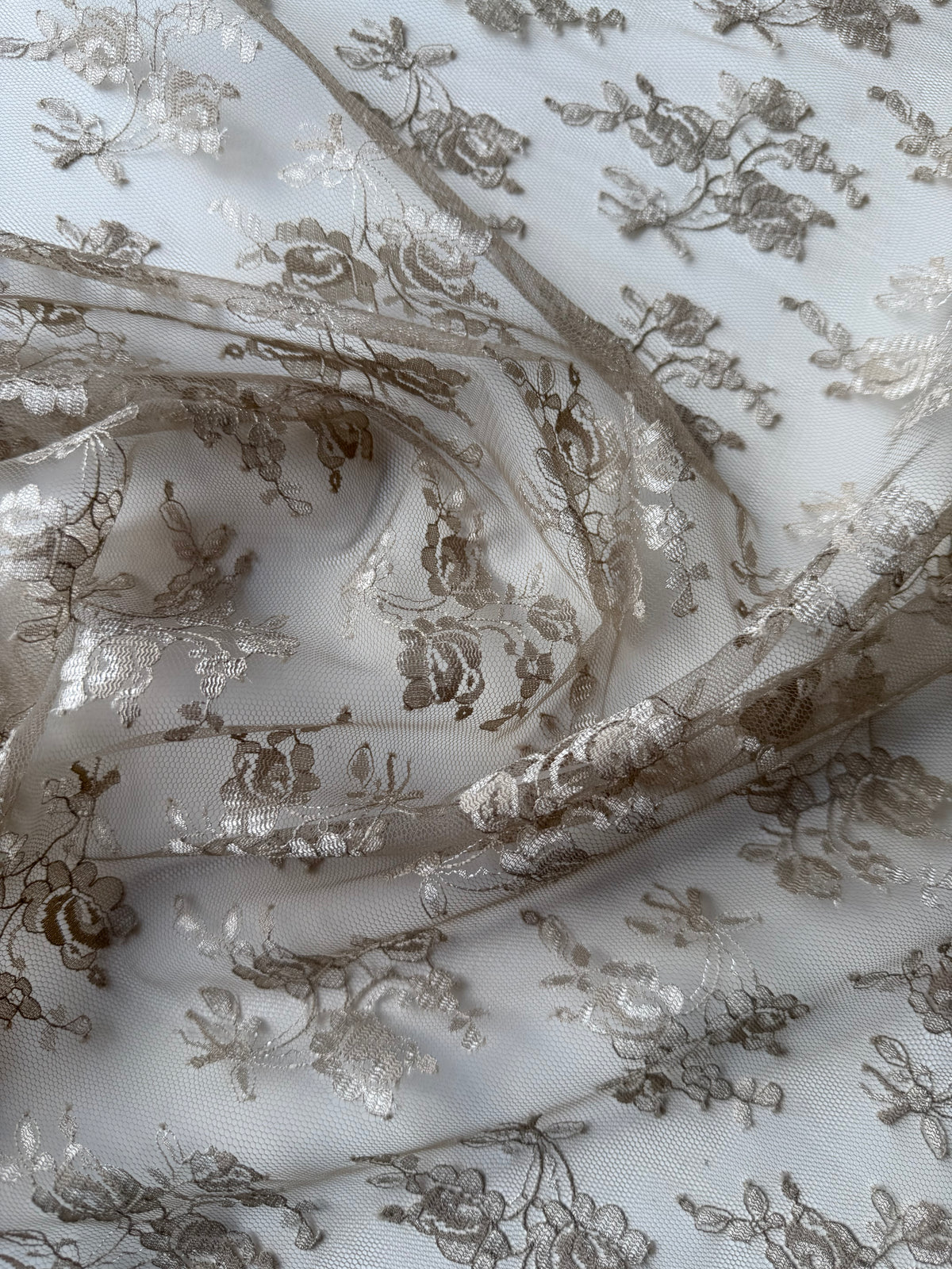 Dentelle Rachel Café - P856