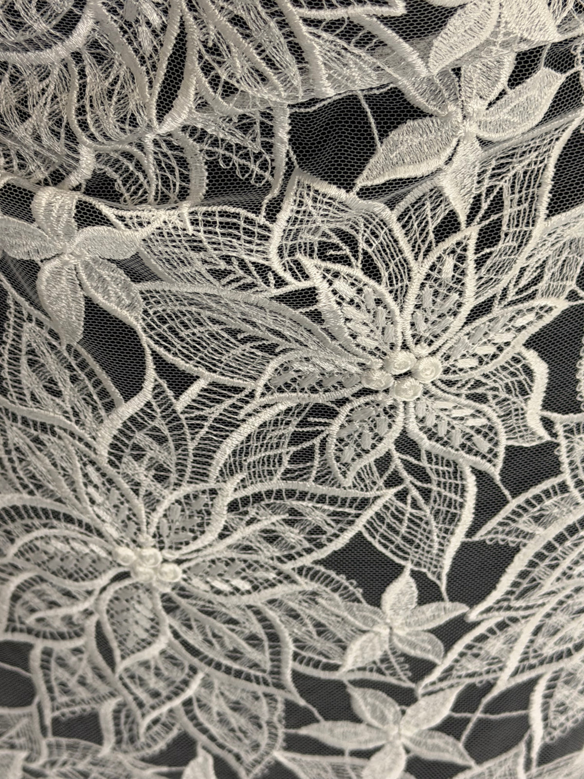 Dentelle Brodé Ivoire - Lalita