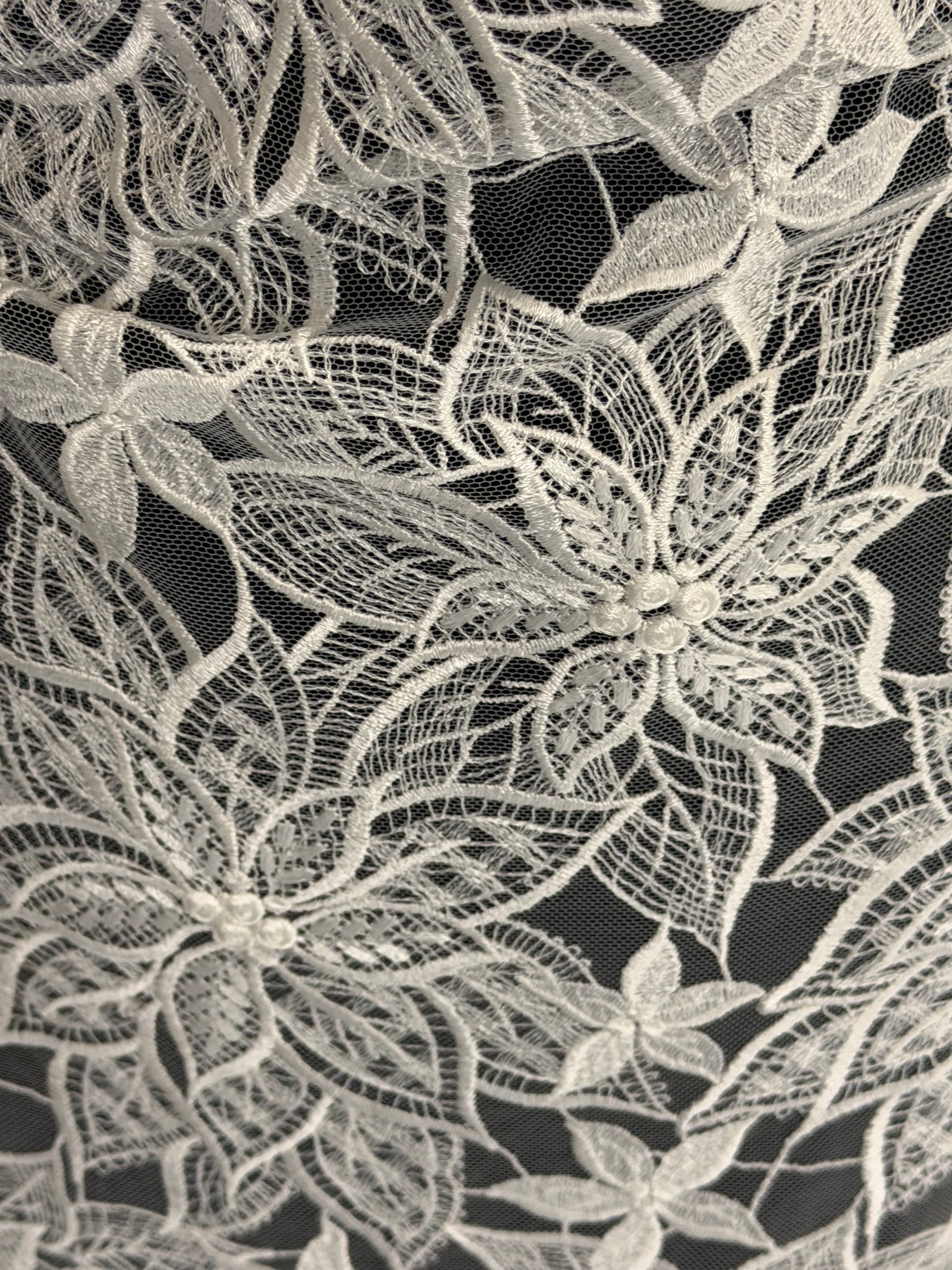 Dentelle Brodé Ivoire - Lalita