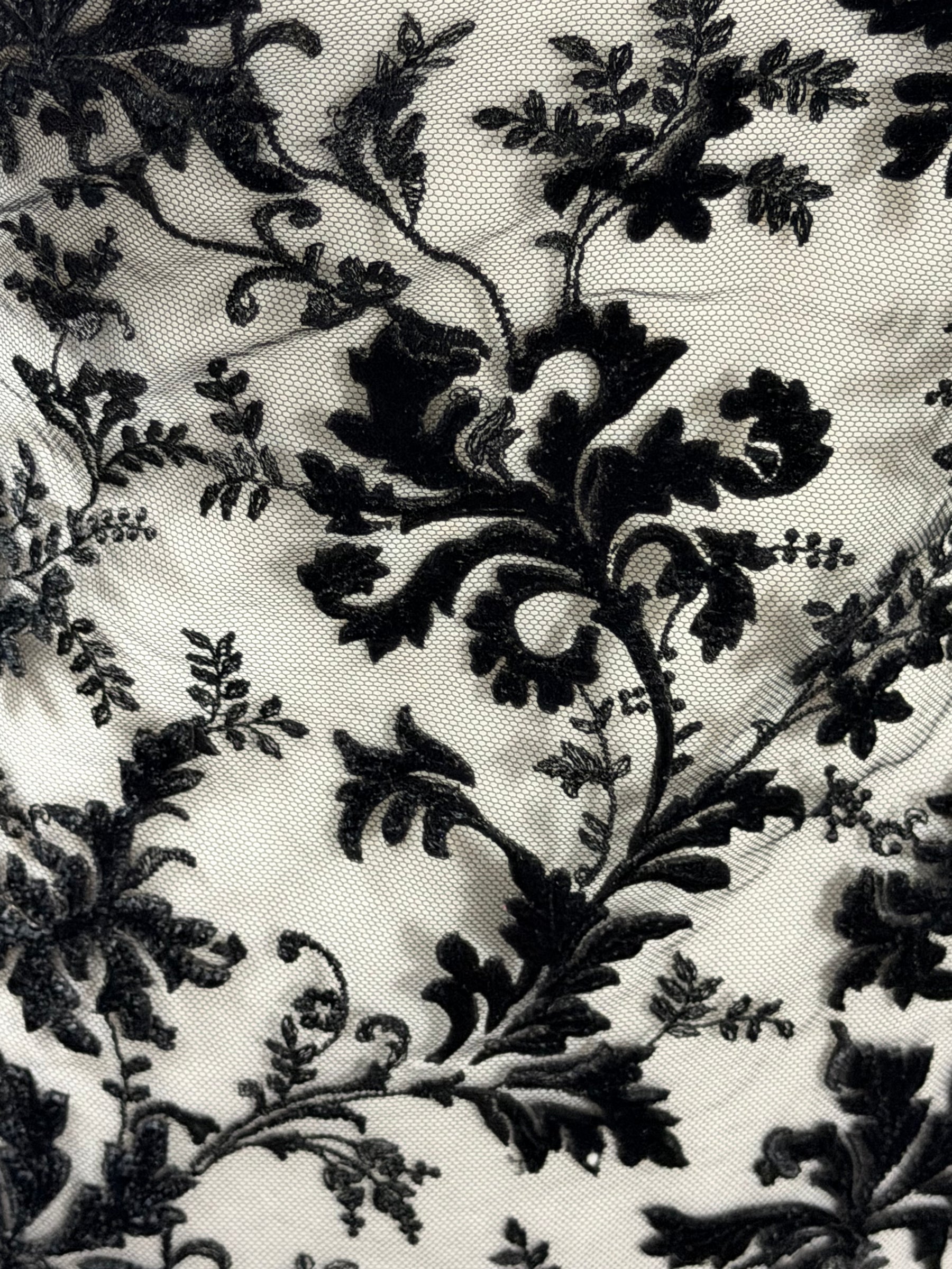 Dentelle brodée velours noir - Madina