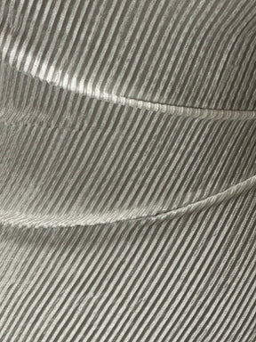 Tissu polyester plissé ivoire - Leeway