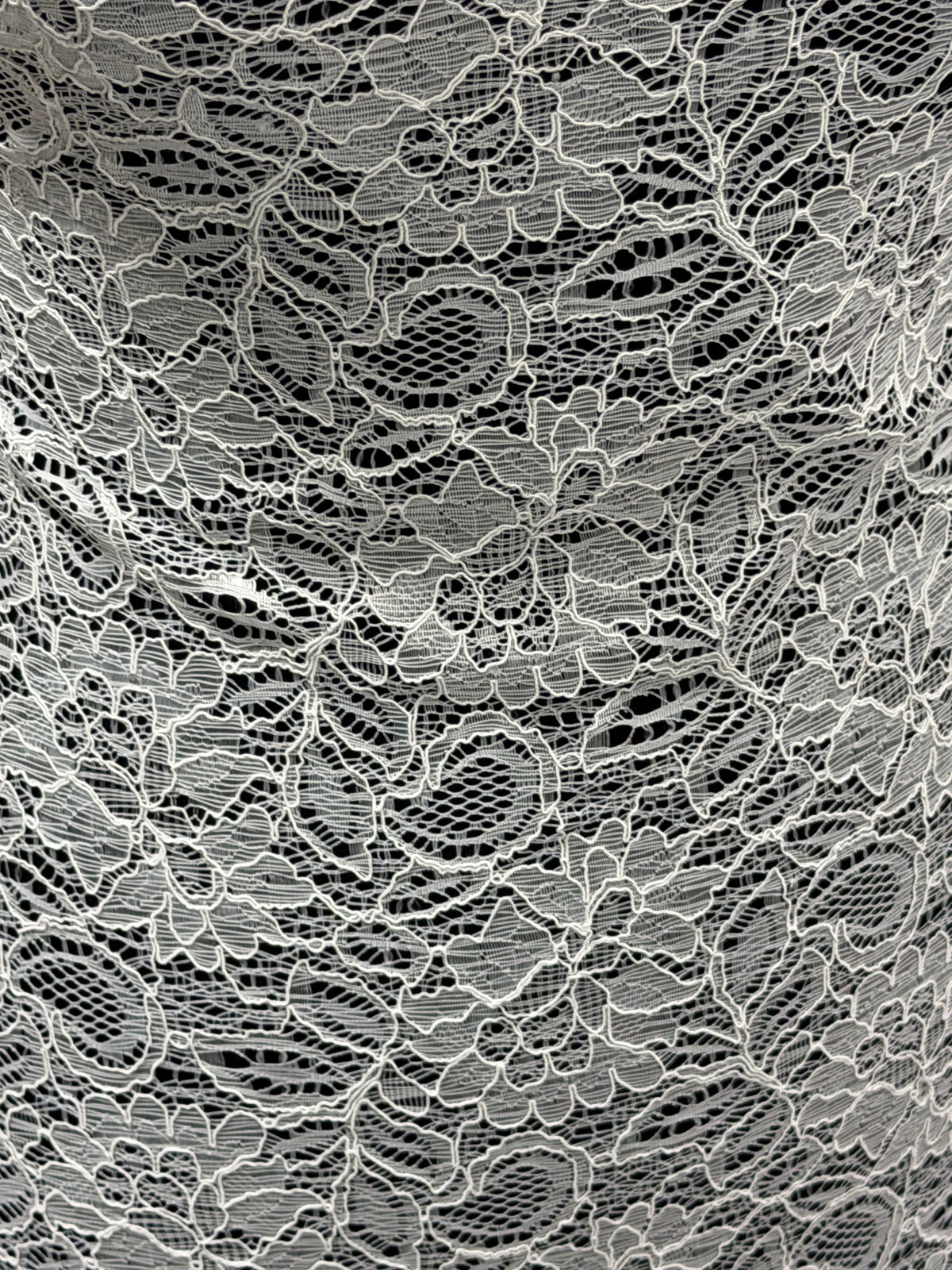 Dentelle cordée ivoire - Tocca