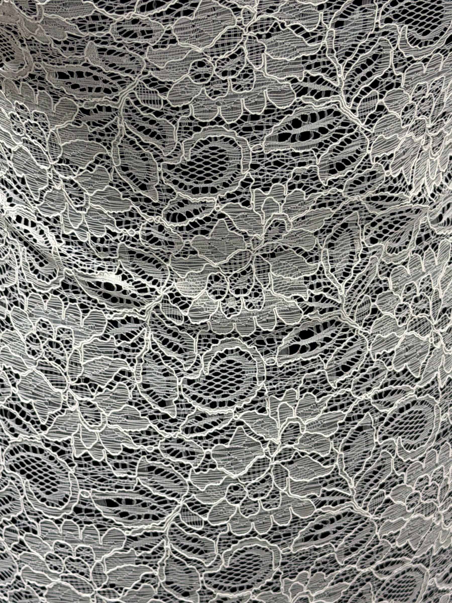 Dentelle cordée ivoire - Tocca