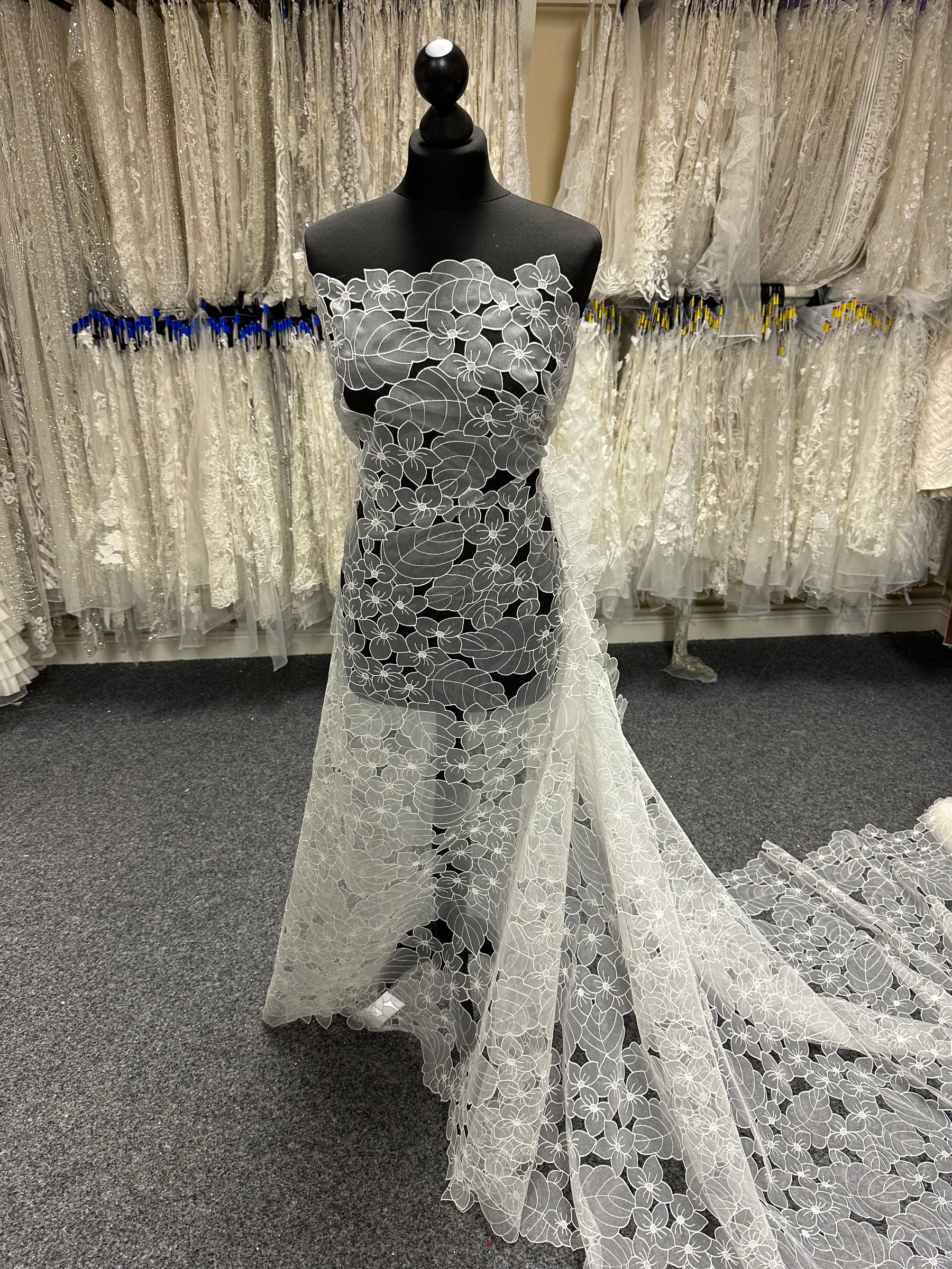 Dentelle organza ivoire - Capacité