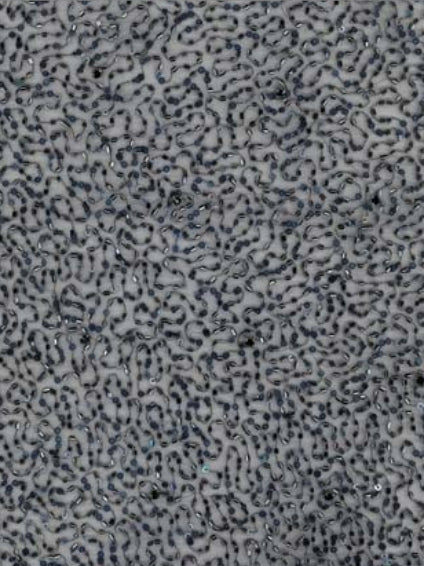 Tulle brodé de perles bleu marine - EB1012
