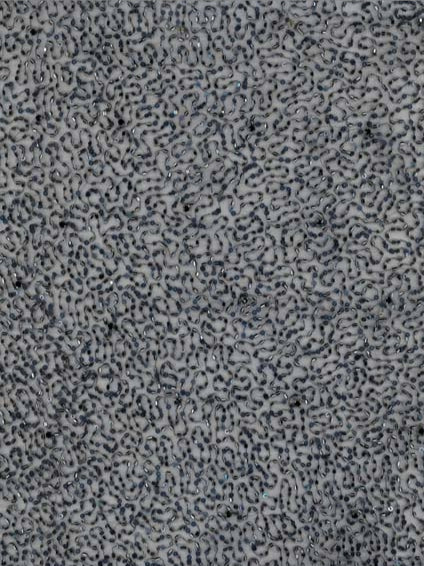 Tulle brodé de perles bleu marine - EB1012