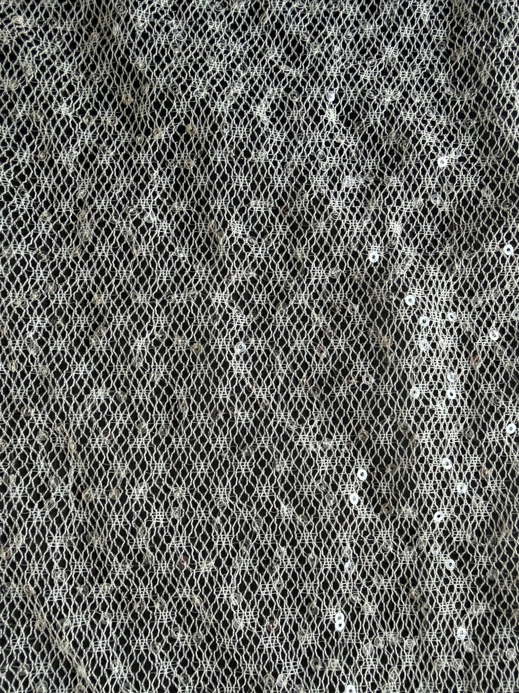 Dentelle Raschel à paillettes ivoire - EB3046