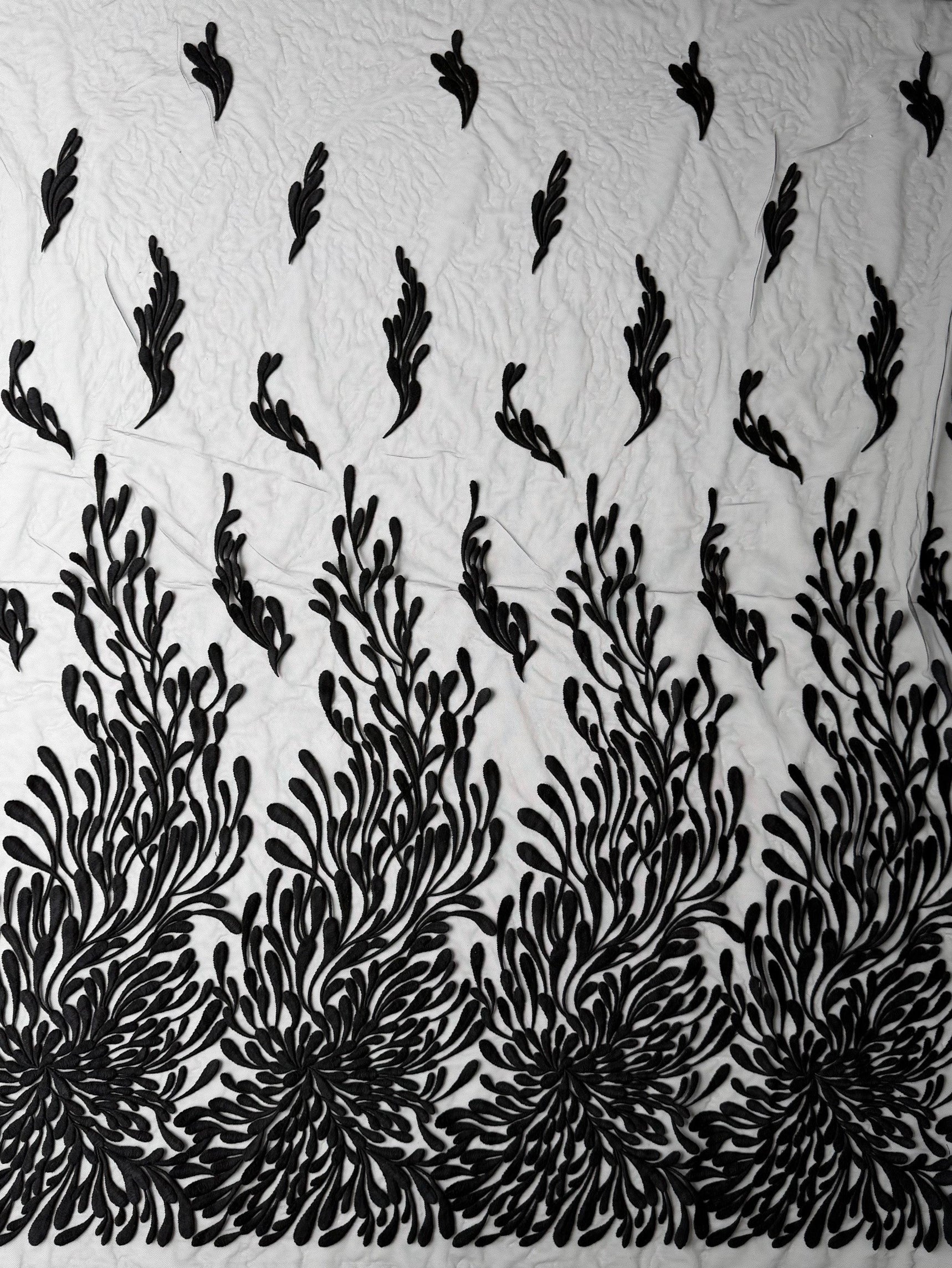 Dentelle brodée noire - EB5053