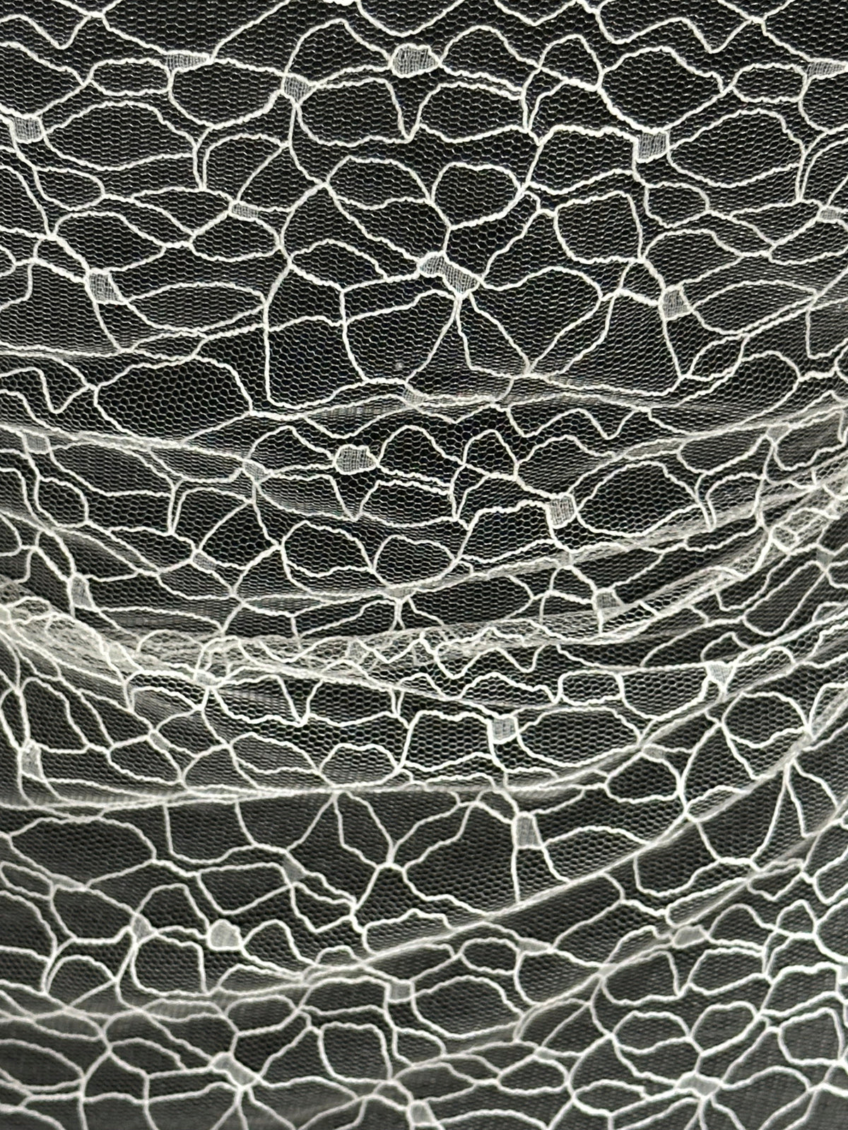 Ivory Contemporary Floral Lace - EB5002