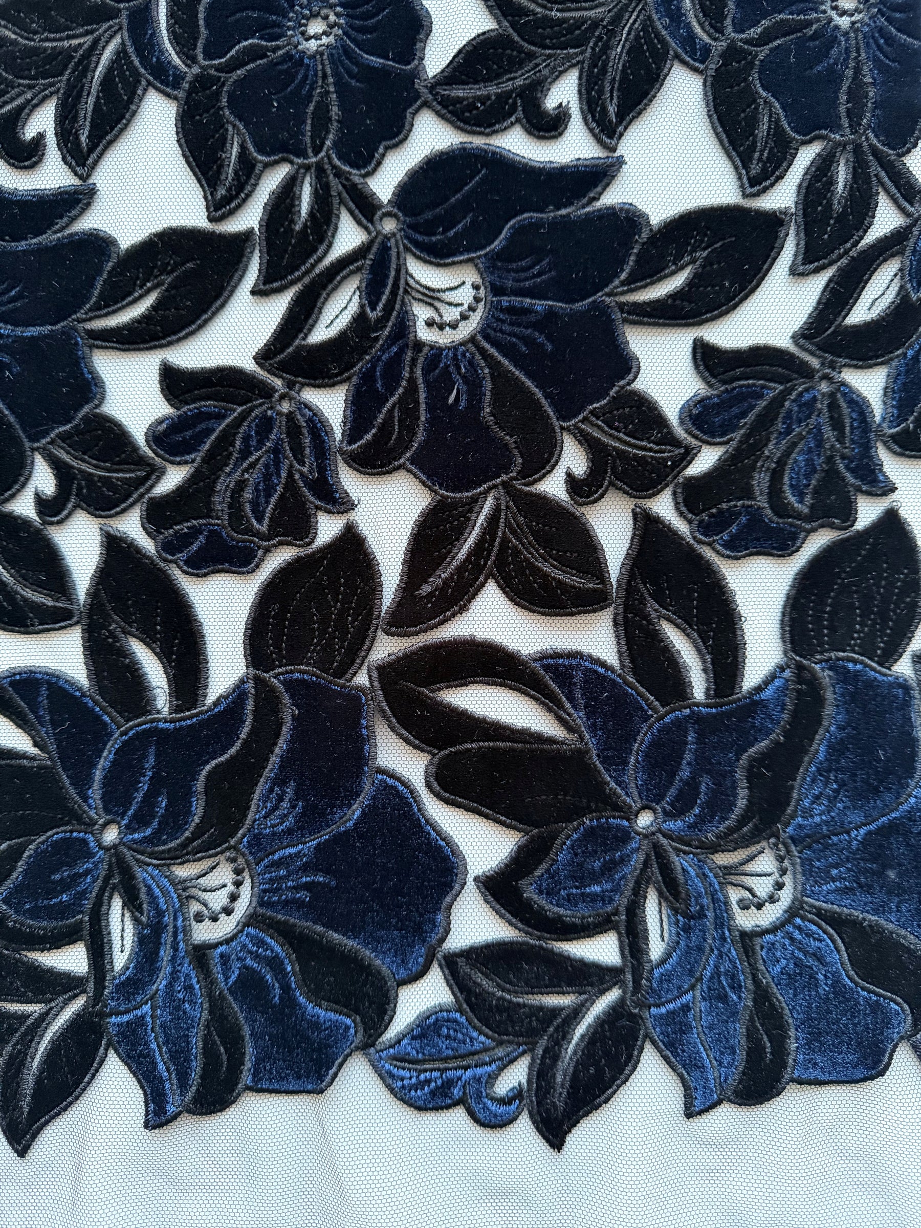 Dentelle brodée en velours noir - EB5025