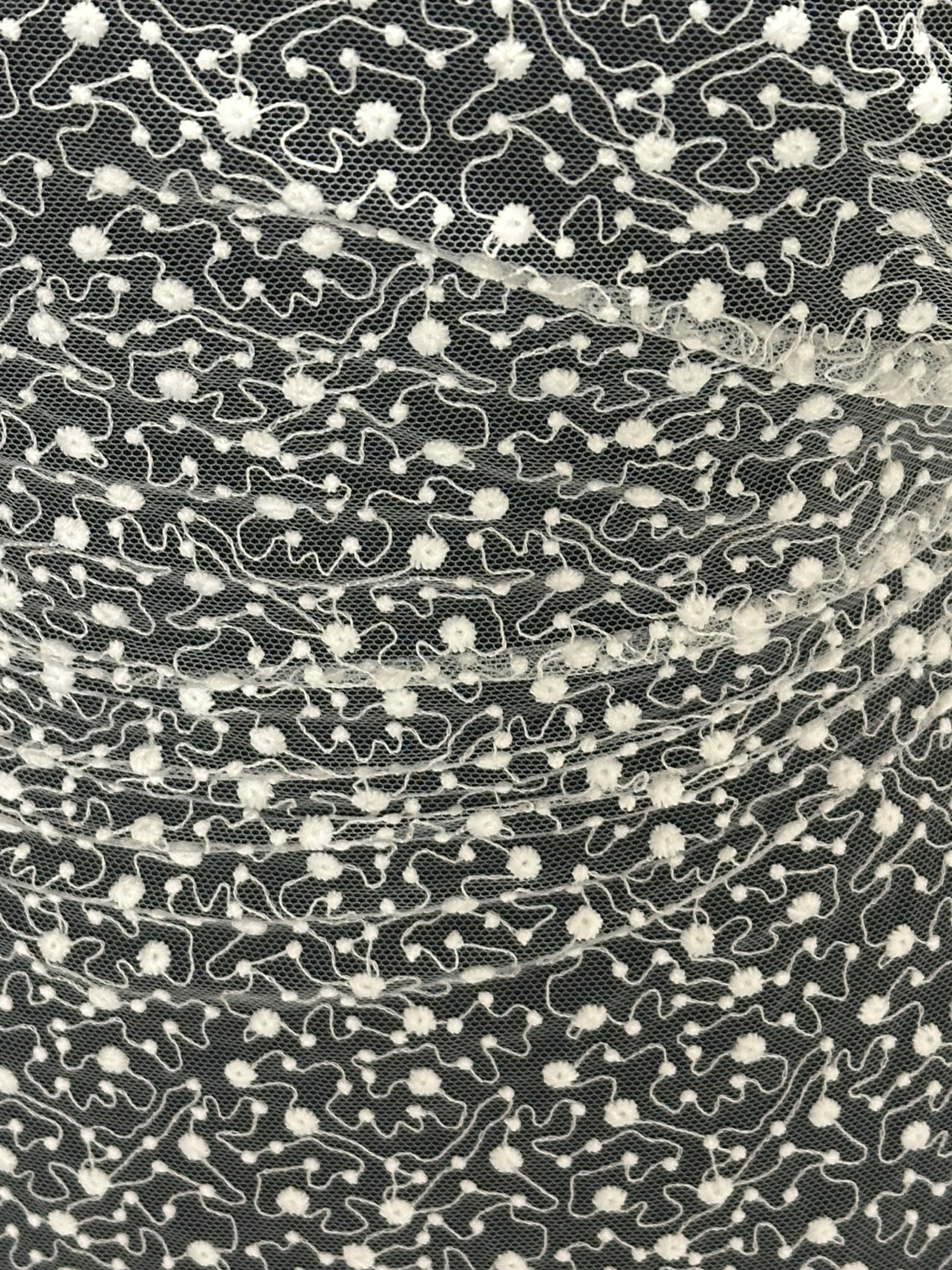 Dentelle brodée ivoire - EB5027