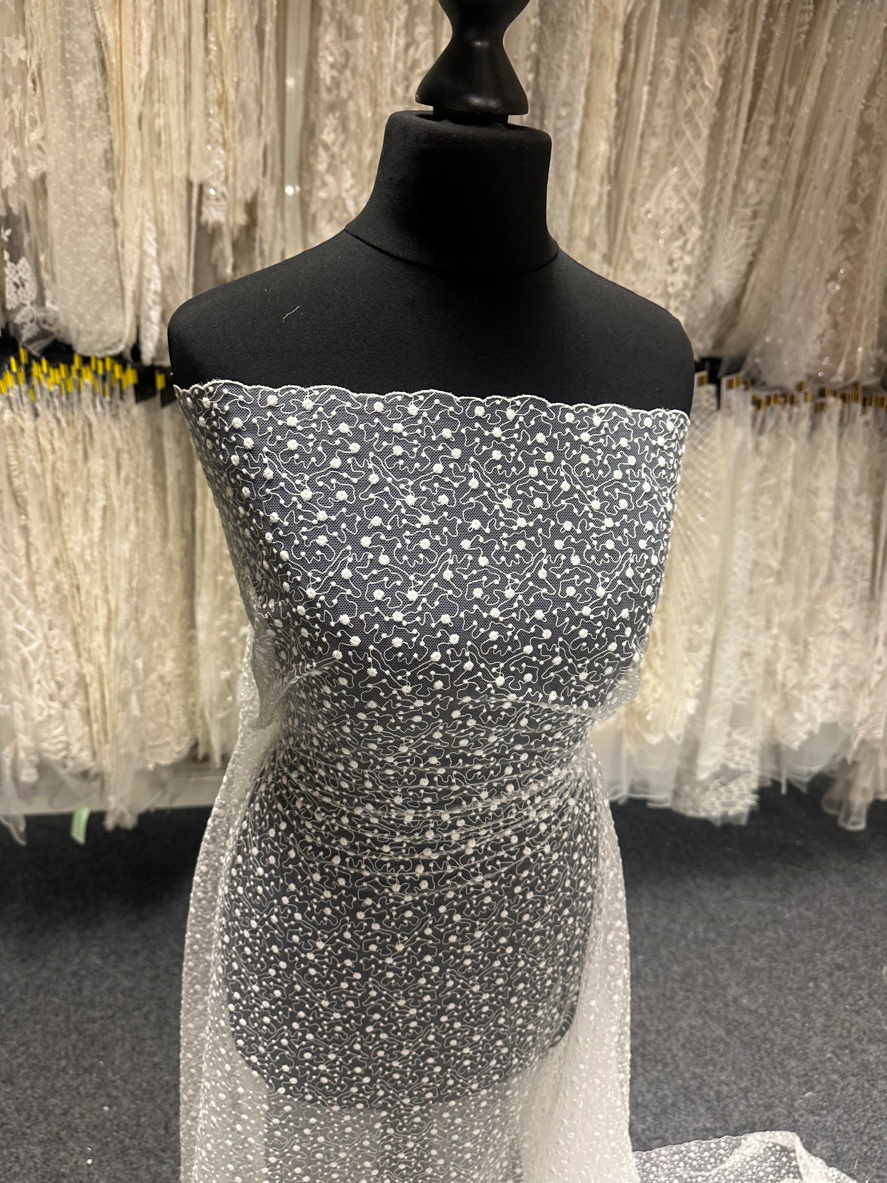 Dentelle brodée ivoire - EB5027