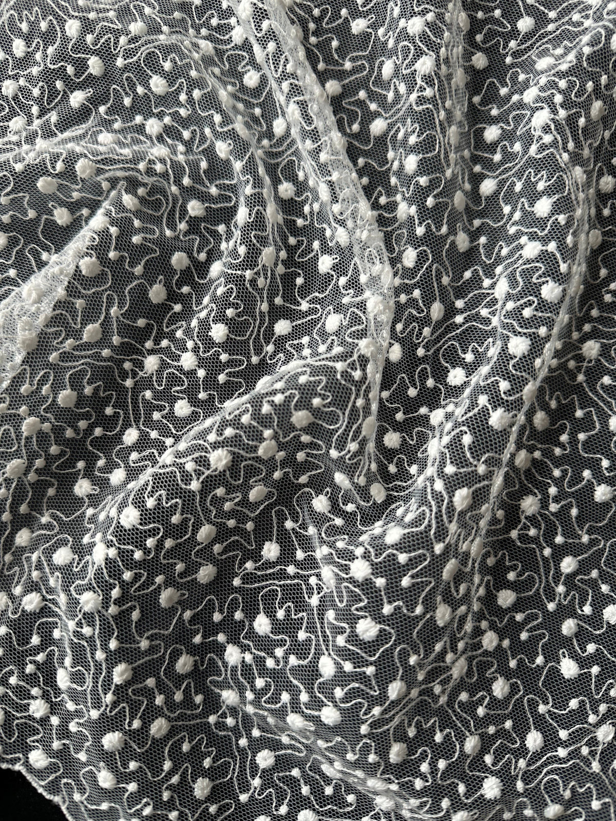 Dentelle brodée ivoire - EB5027