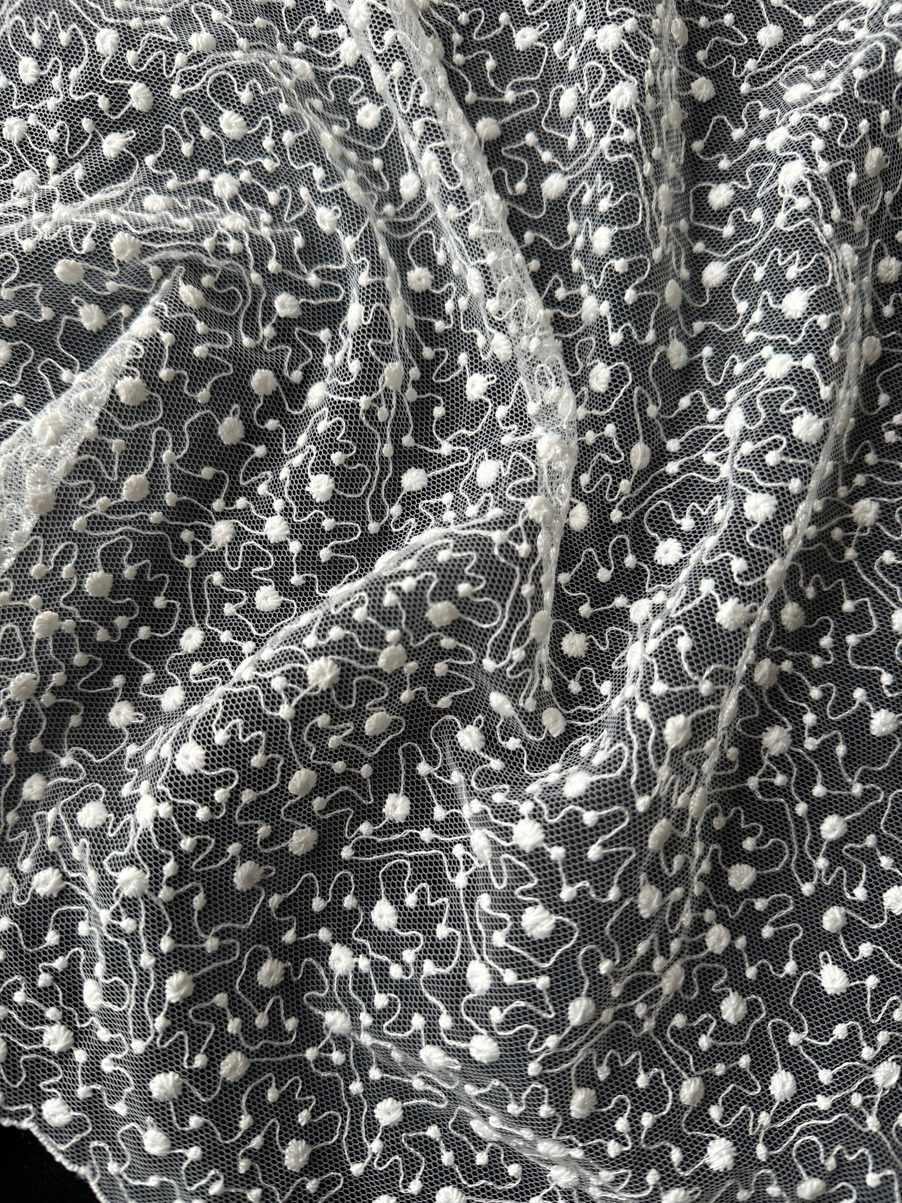 Dentelle brodée ivoire - EB5027