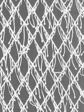 Dentelle 3D brodée ivoire - EB5029