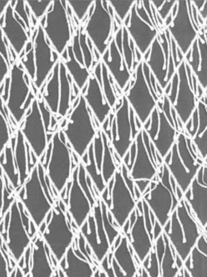 Dentelle 3D brodée ivoire - EB5029