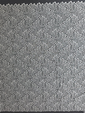 Dentelle brodée contemporaine ivoire - EB5040