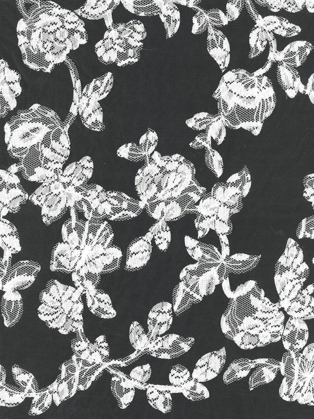 Dentelle brodée contemporaine ivoire - EB5041