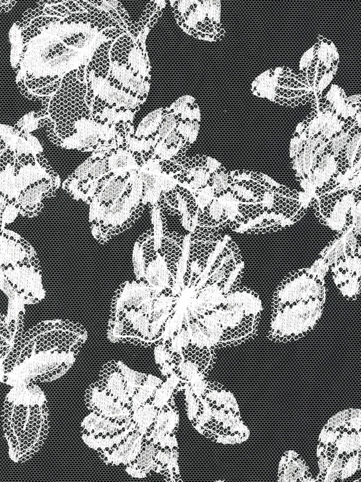 Dentelle brodée contemporaine ivoire - EB5041