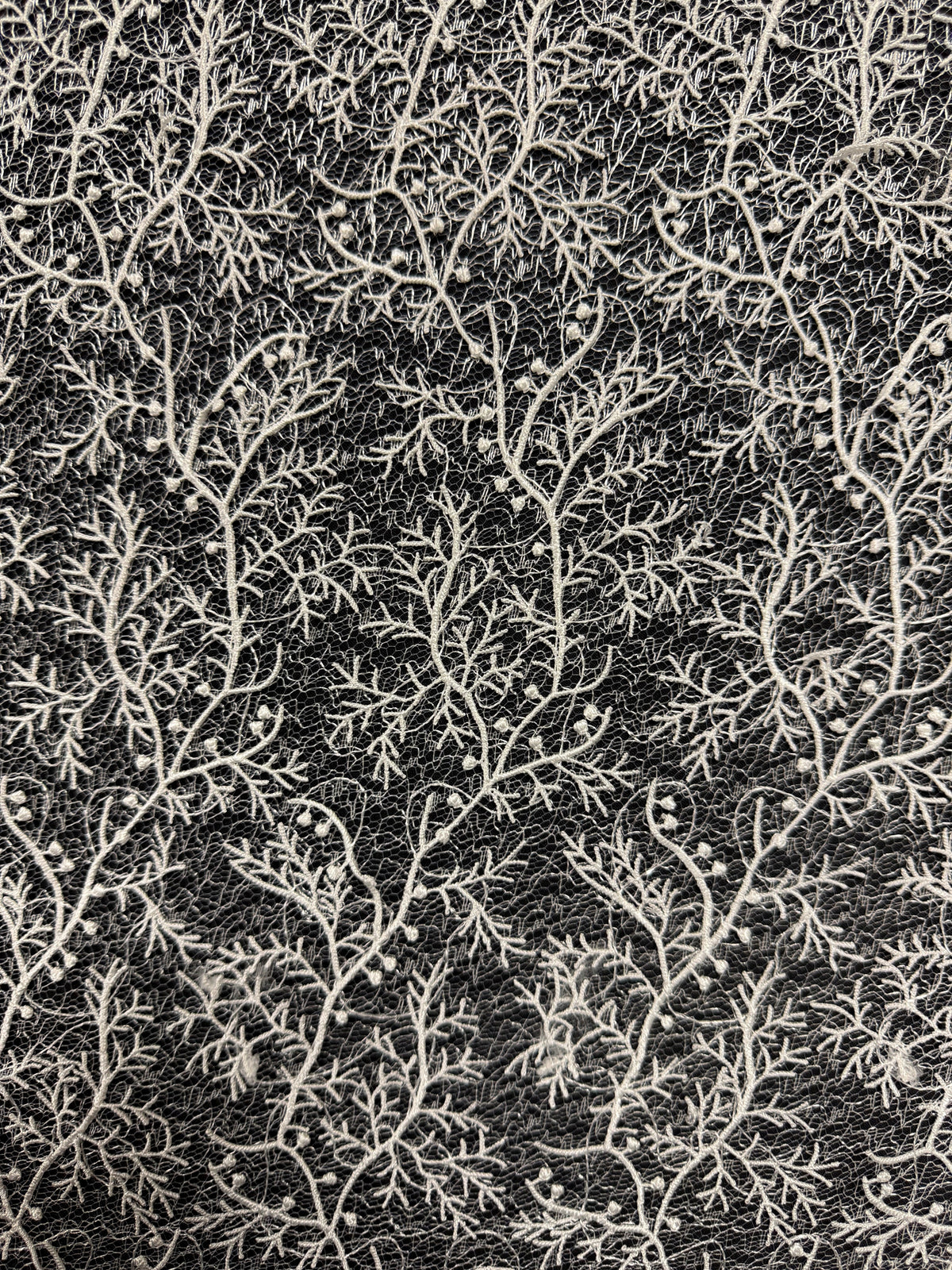 Dentelle brodée ivoire - EB5054