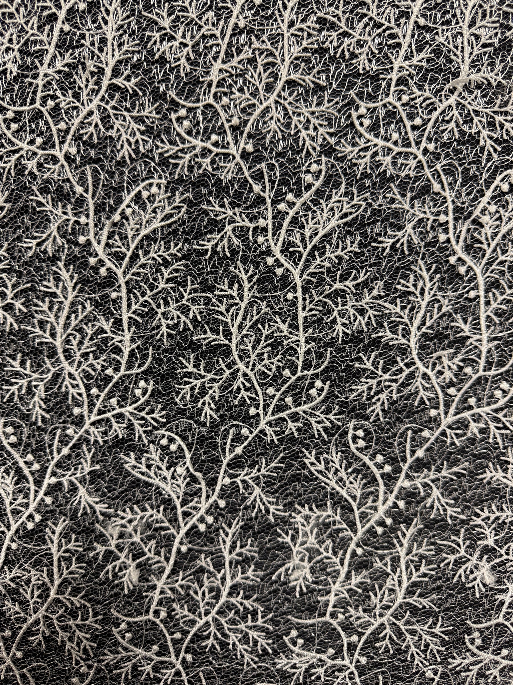 Dentelle brodée ivoire - EB5054