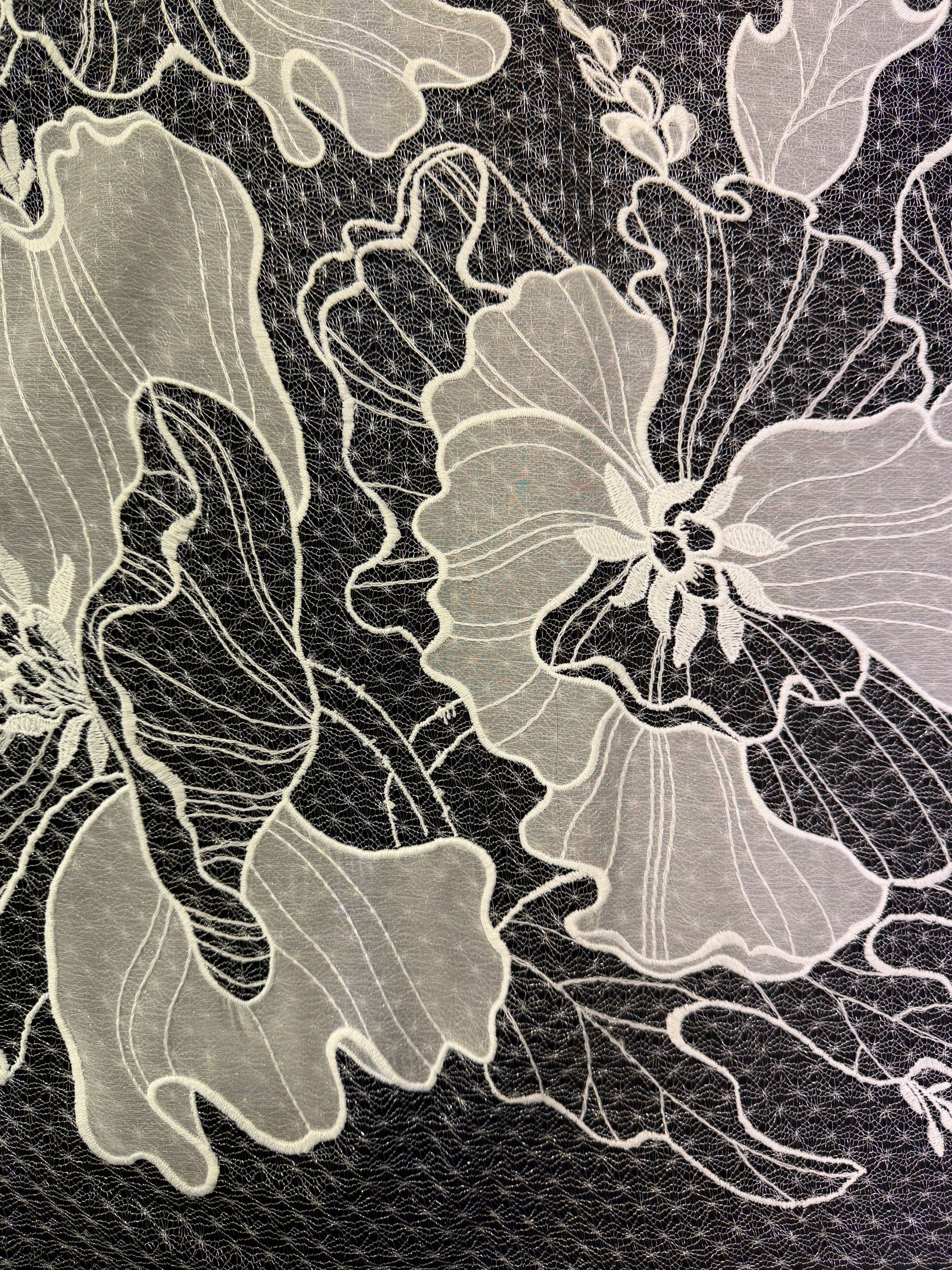 Dentelle brodée ivoire - EB5058