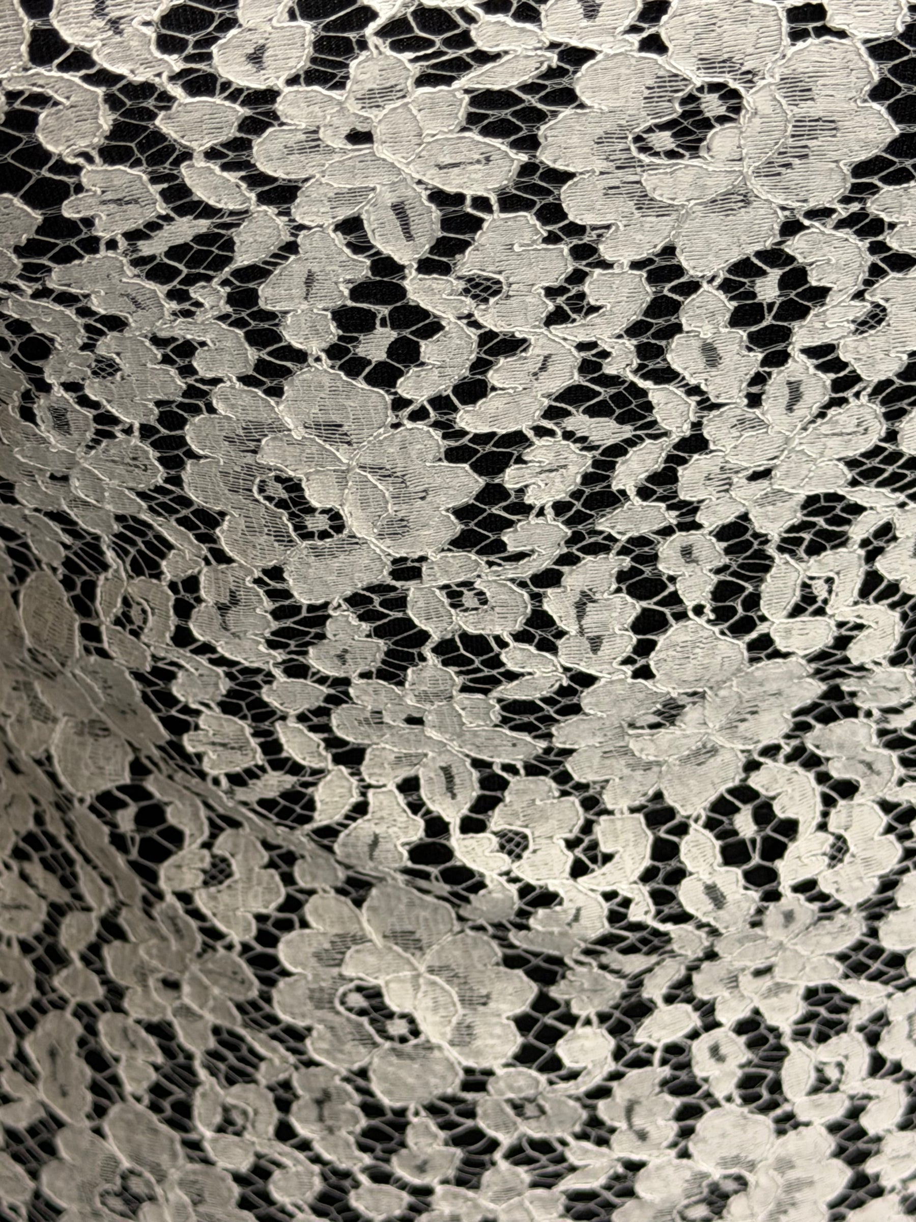 Dentelle Chantilly Cordonnée Ivoire - Norben