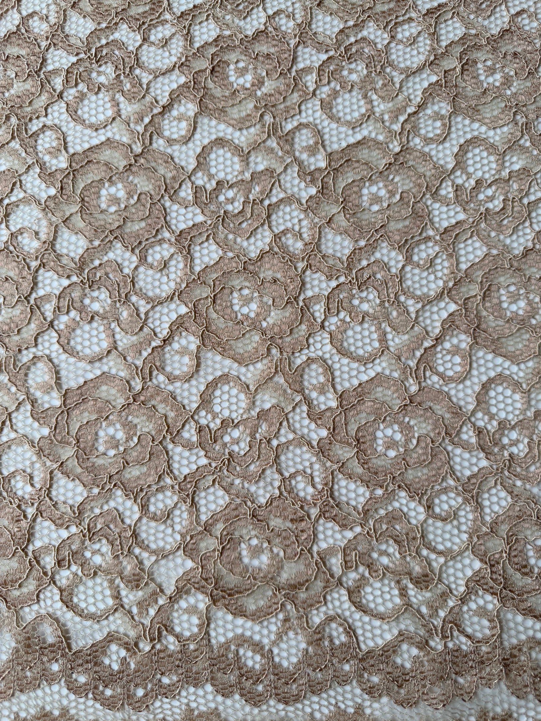Dentelle stretch beige à côtes - P619