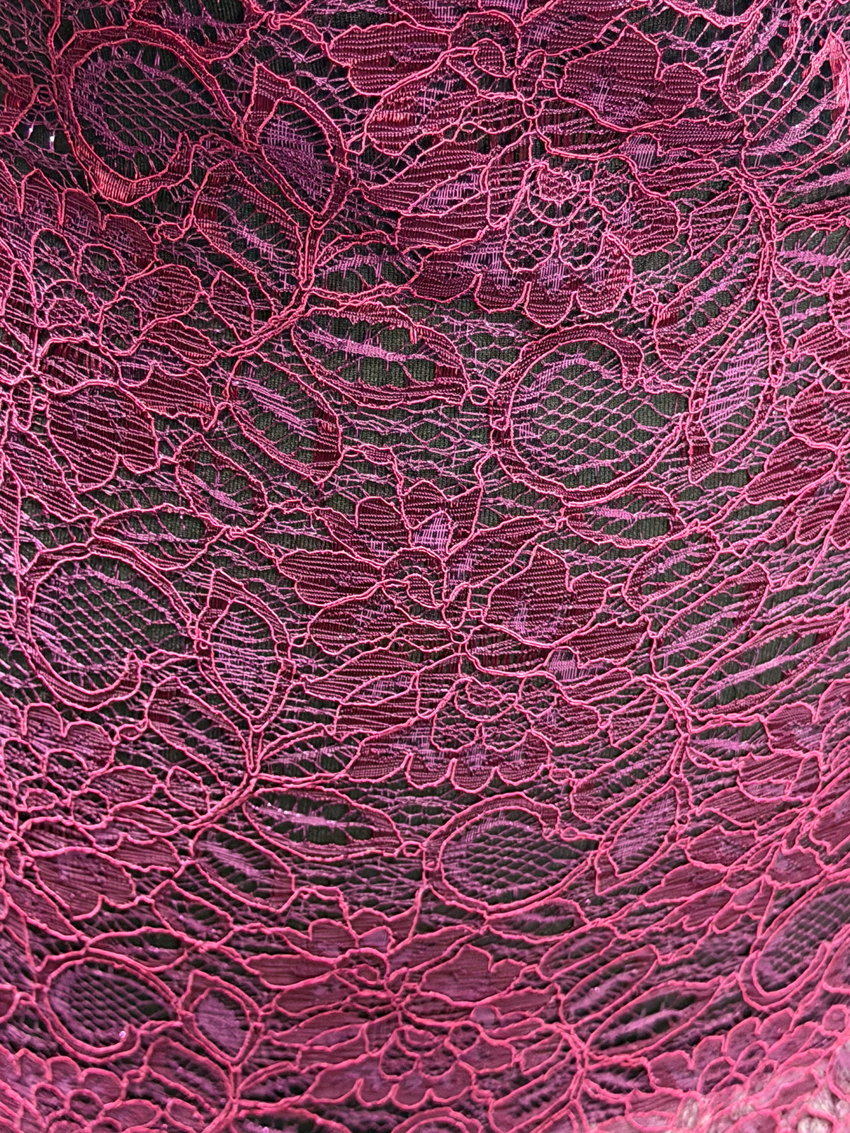 Magenta Corded Lace - Mendap
