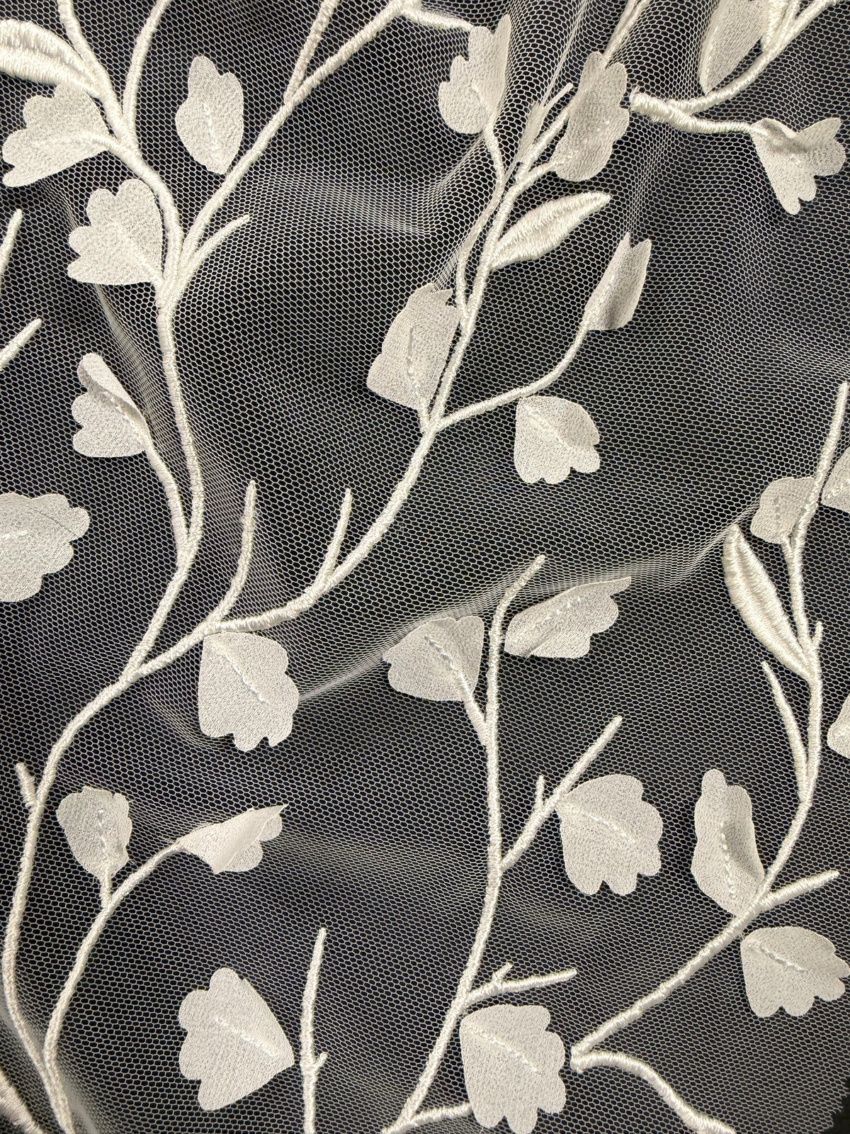 Dentelle brodée ivoire - EB5028