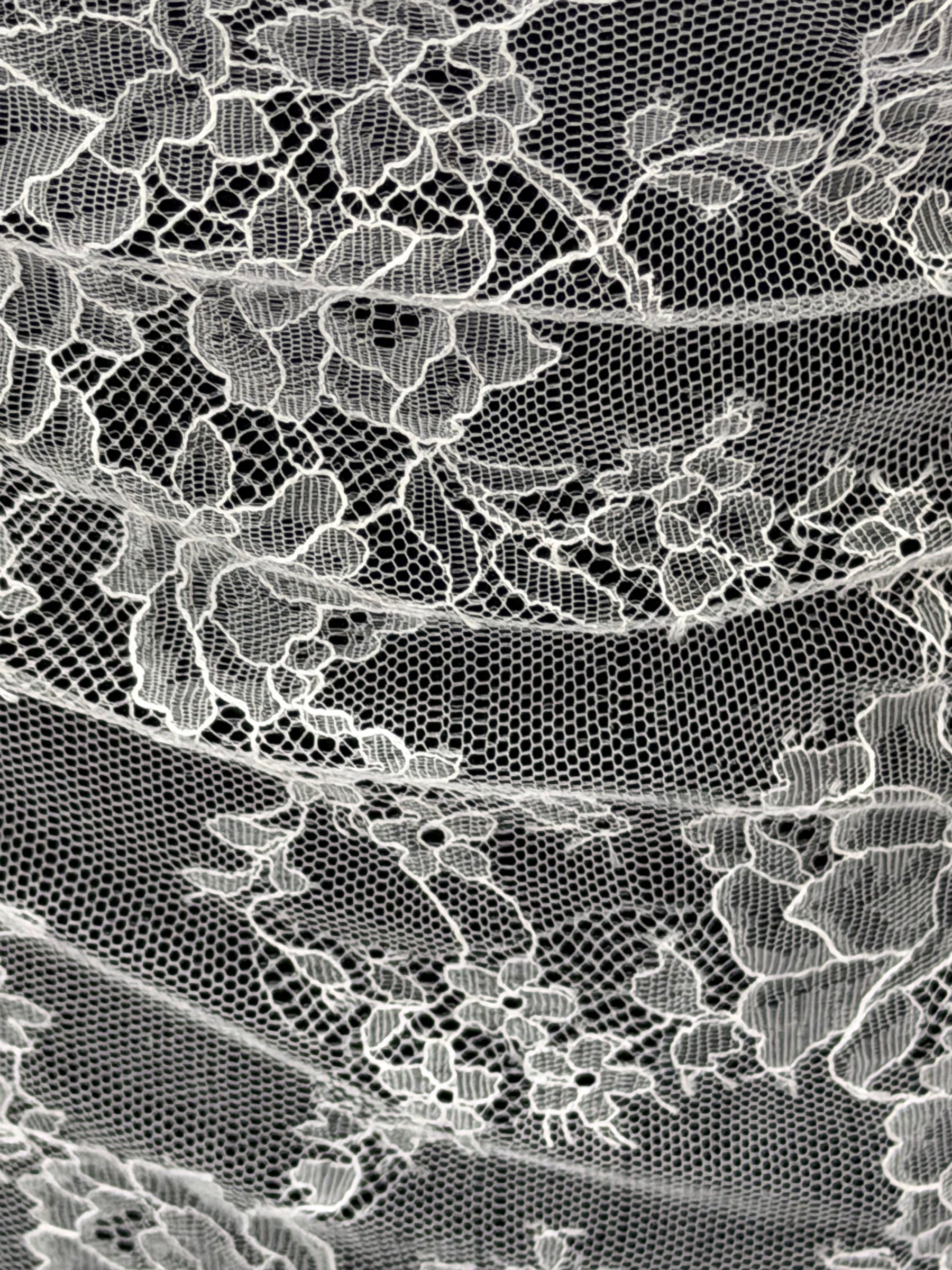 Ivory Chantilly Lace - P725