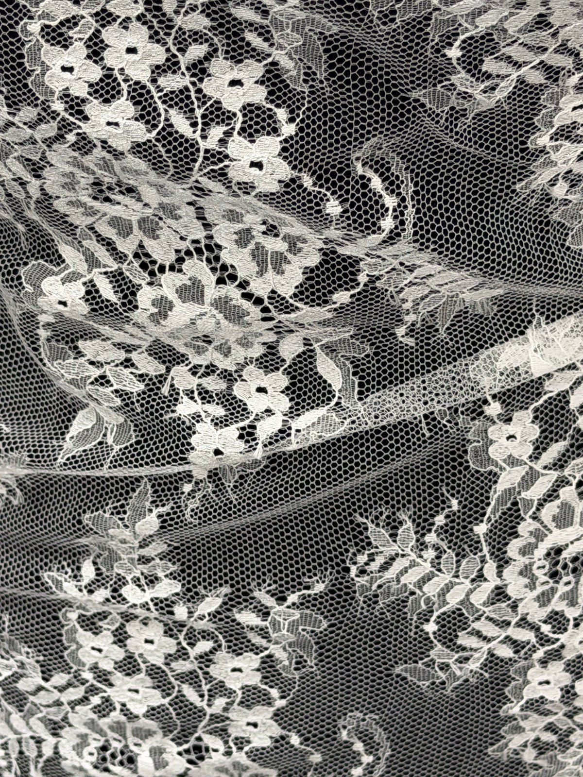 Dentelle de Chantilly ivoire - P729