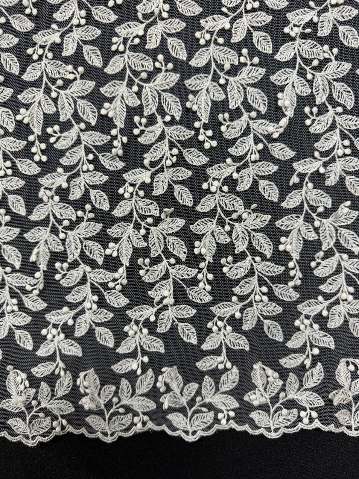 Dentelle brodée ivoire - EB5050