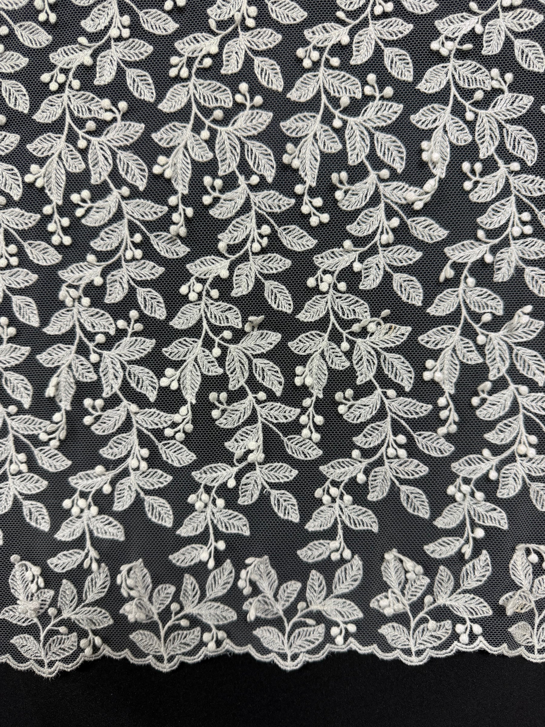 Dentelle brodée ivoire - EB5050