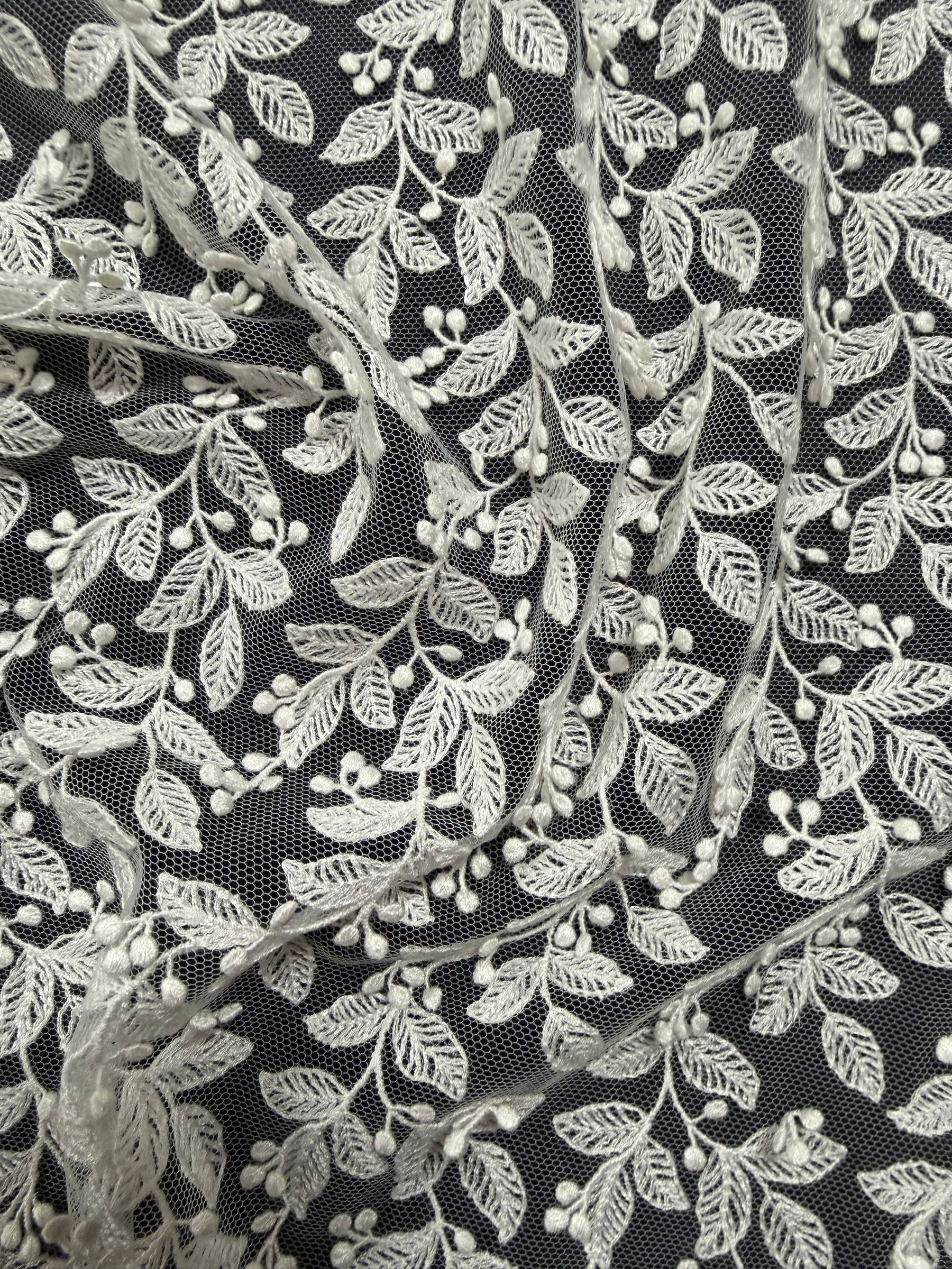 Dentelle brodée ivoire - EB5050